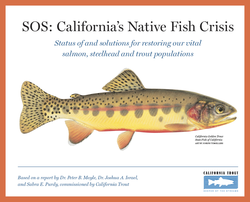 SOS | Team: Big Think Studios (Peter Walbridge, Brian MacDougall, Erin Heath, and me); Dr. Peter B. Moyle, UC Davis research team, and Cal Trout; Illustrator: Joseph Tomelleri.