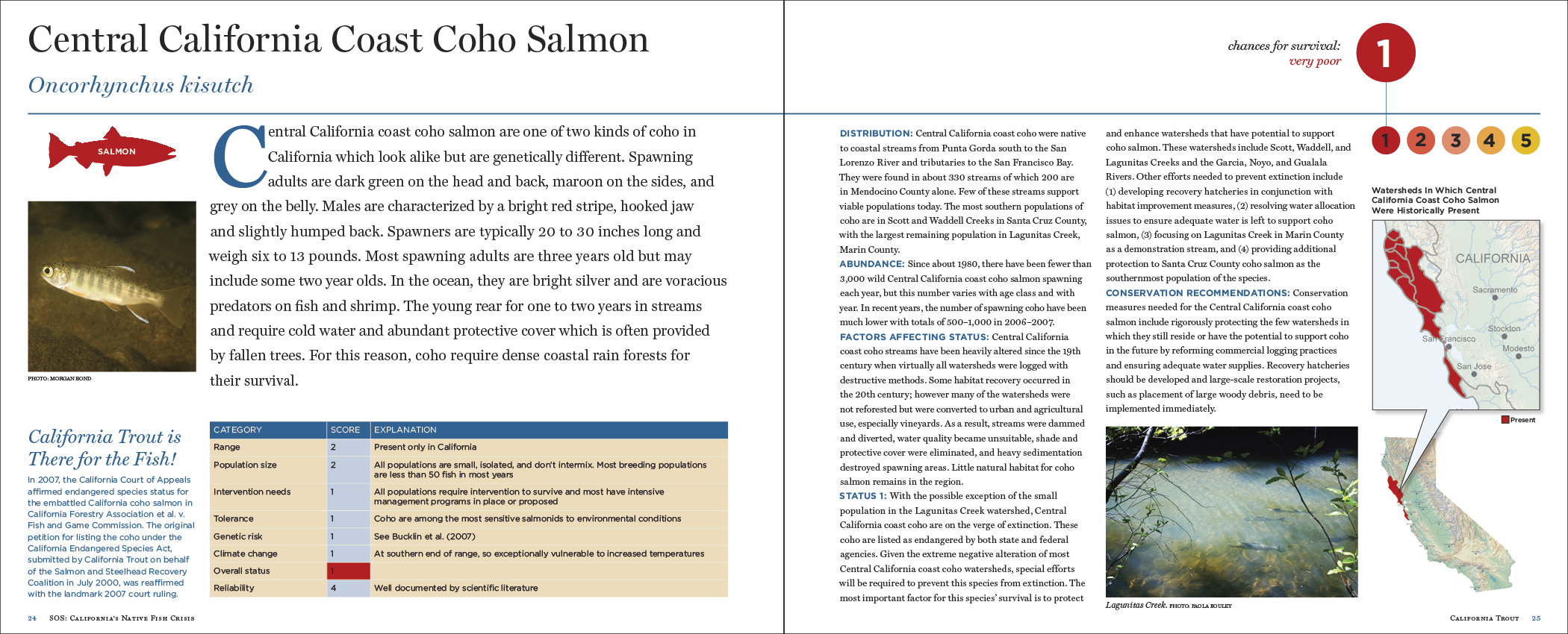 CALTROUT_PFLO6.jpg