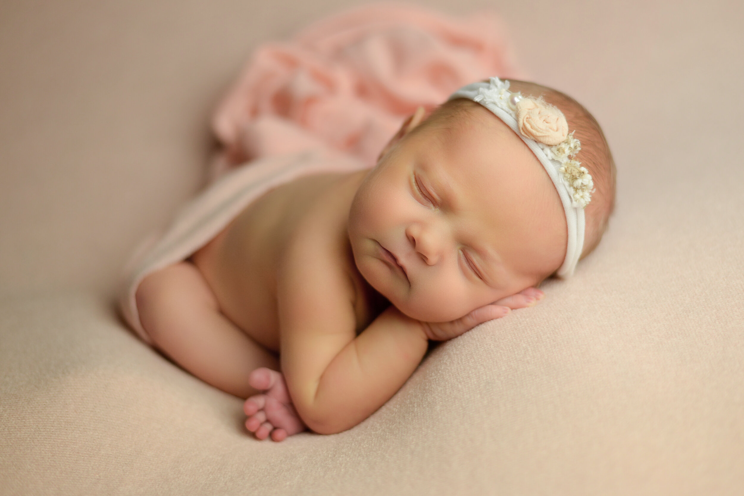 wilmington nc newborn photography