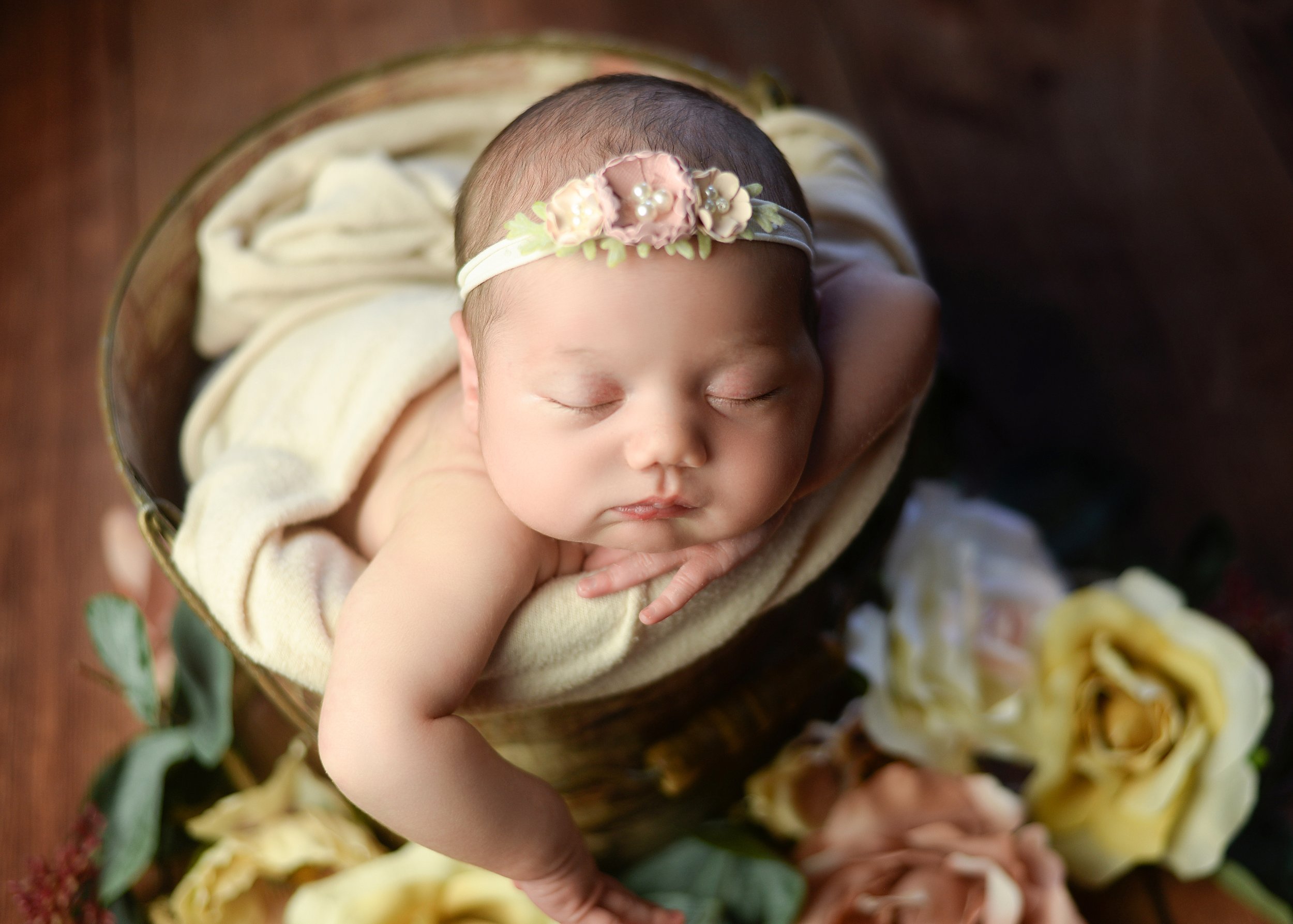 newborn photographer wilmington nc