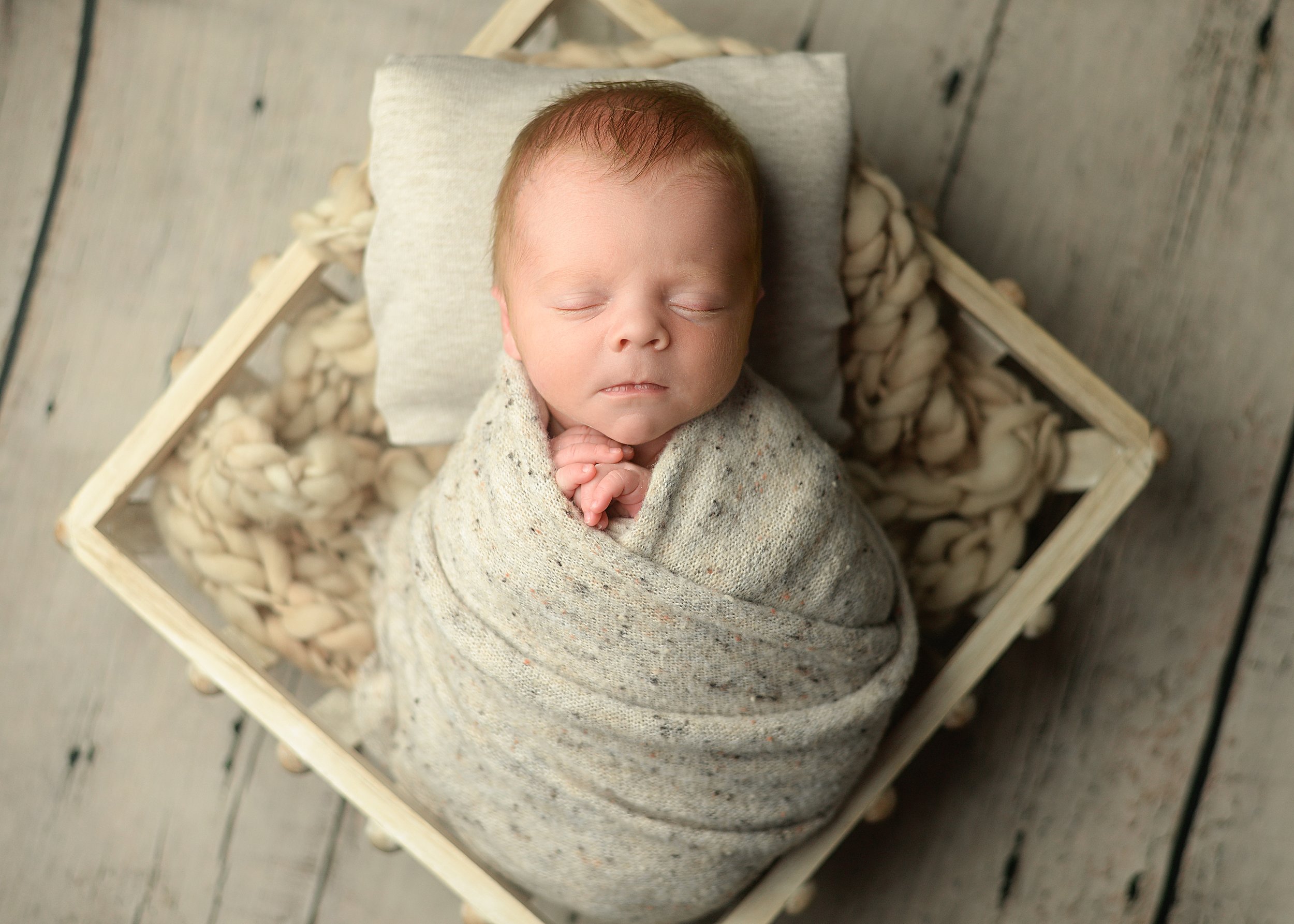 newborn photographer wilmington