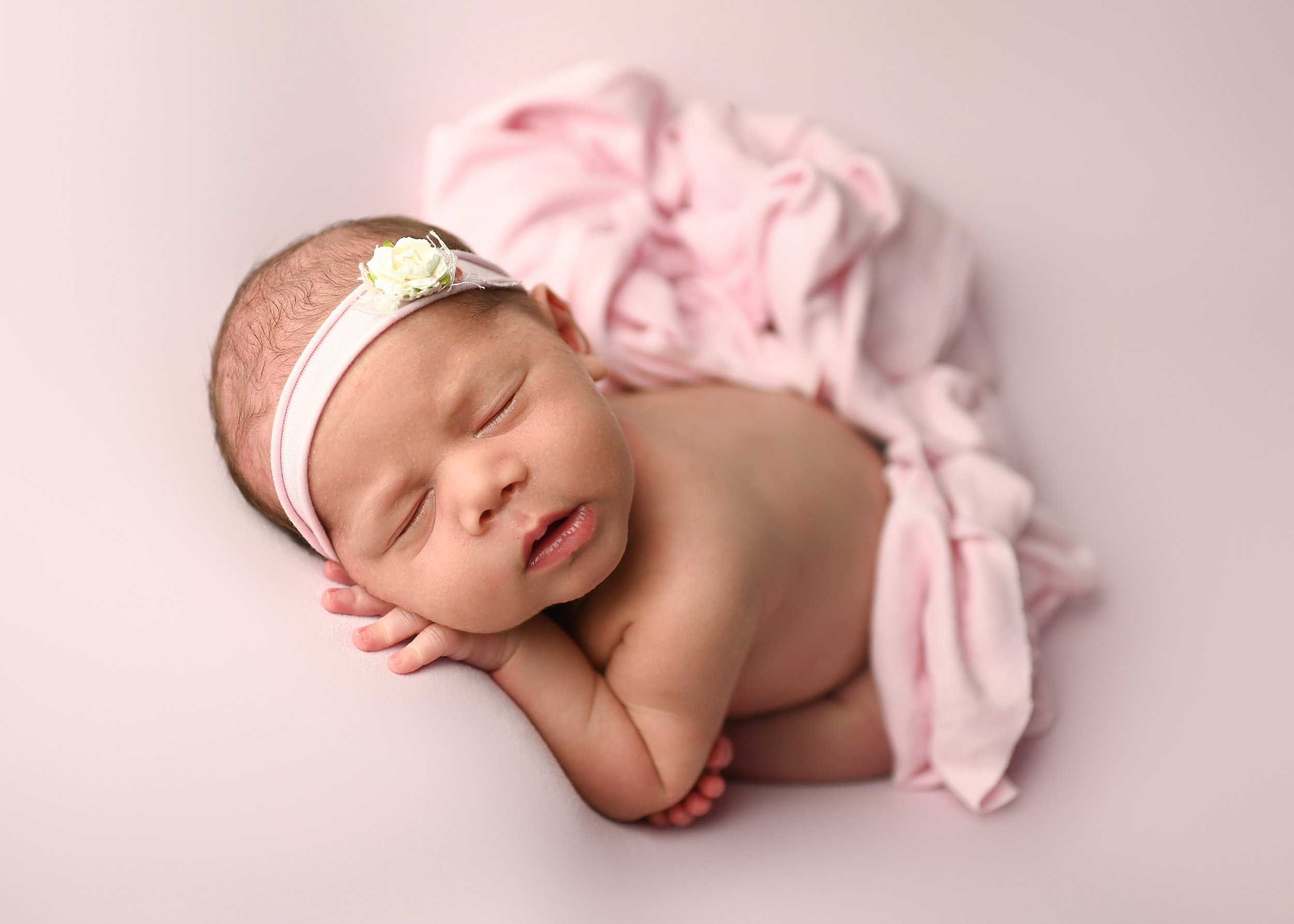 wilmington newborn photographer