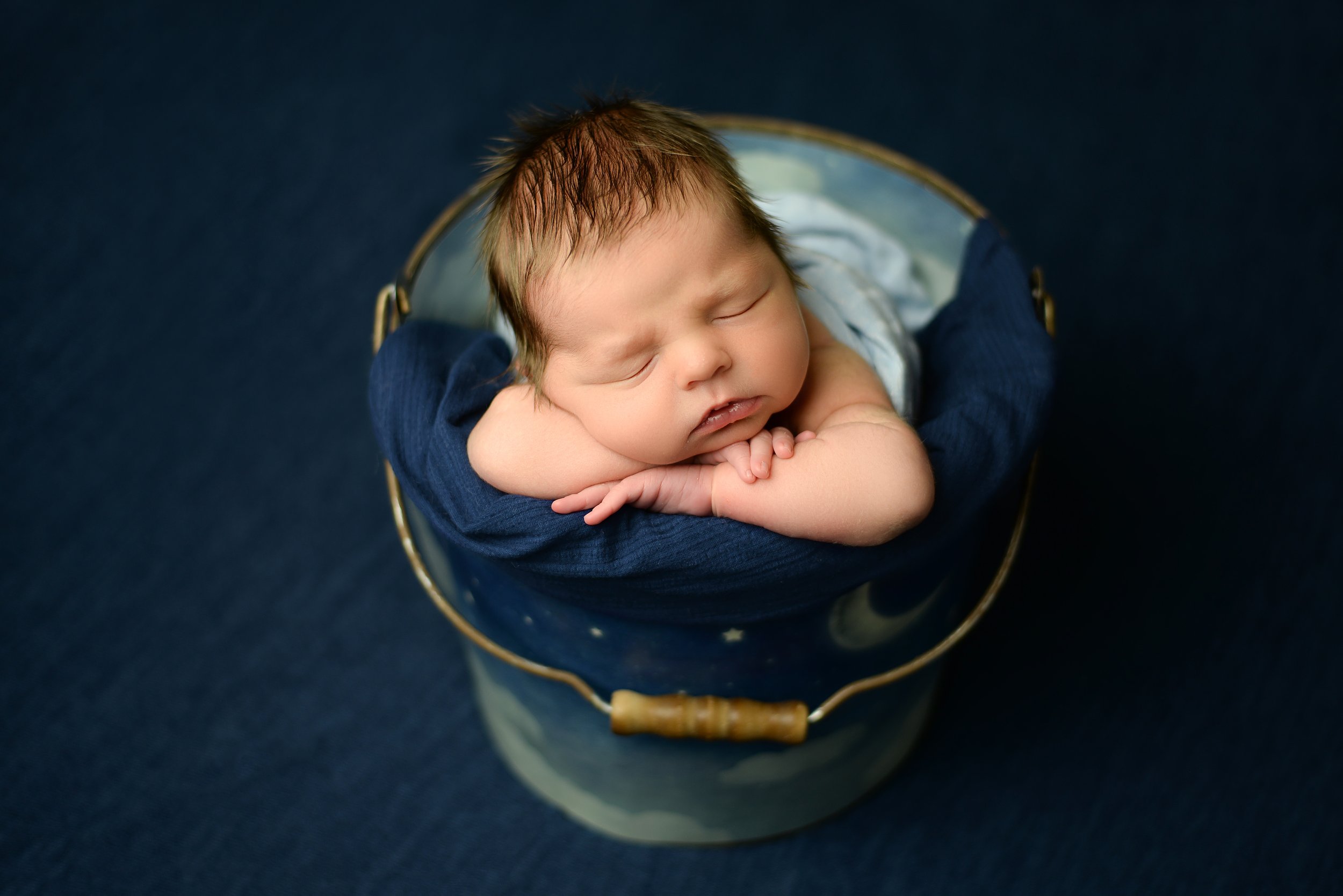 leland newborn photographer