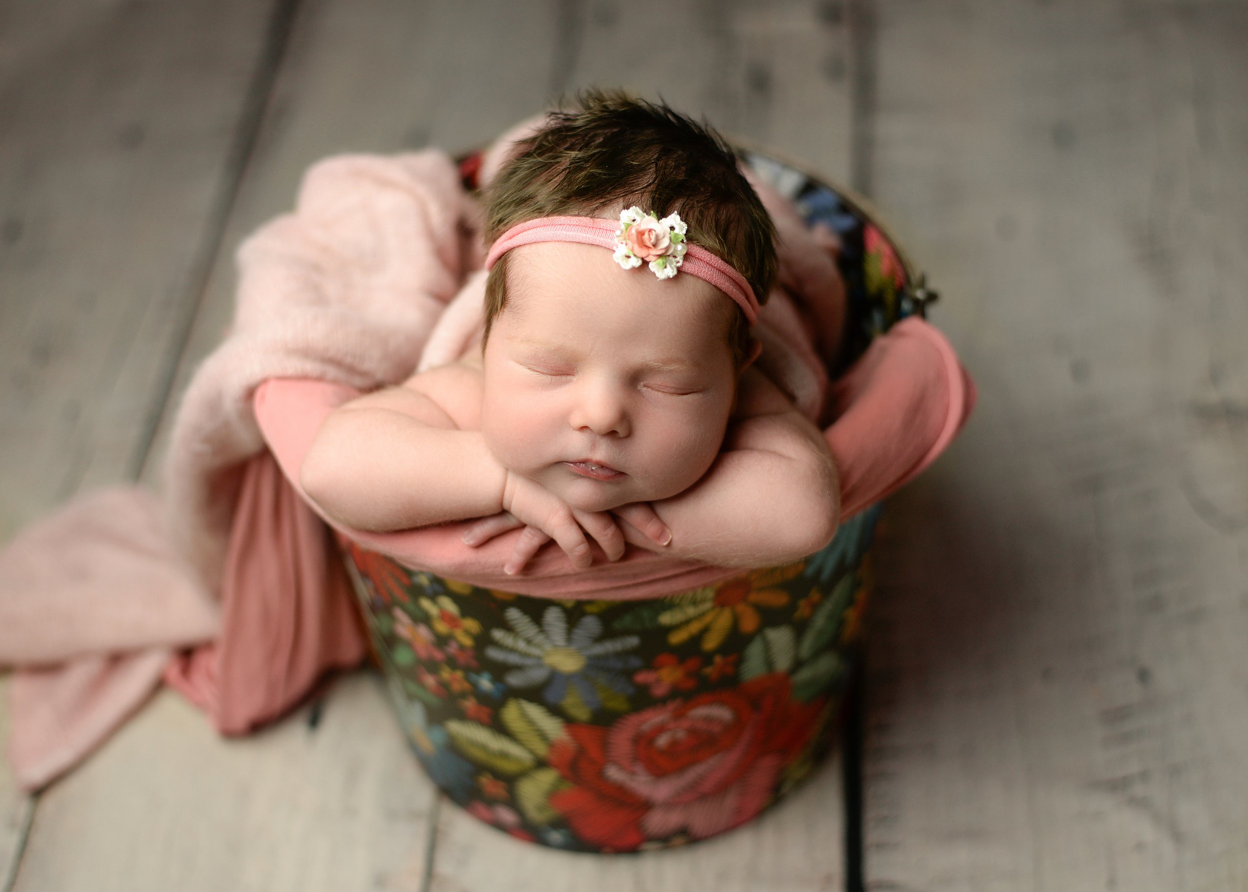 hampstead newborn photographer