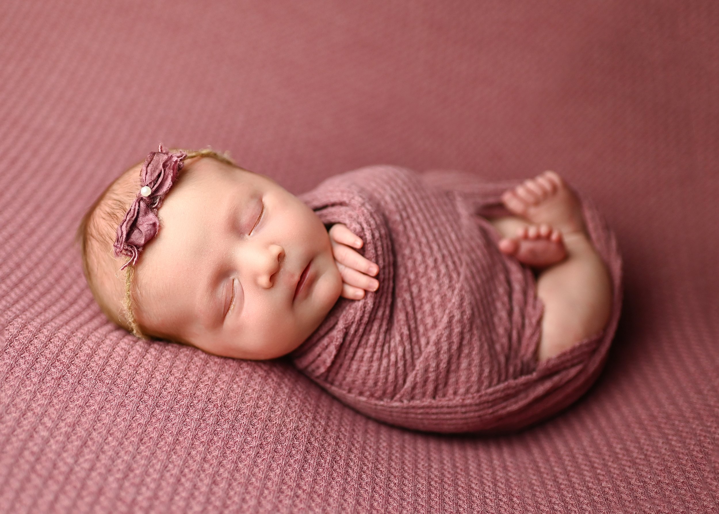 newborn photographer wilmington