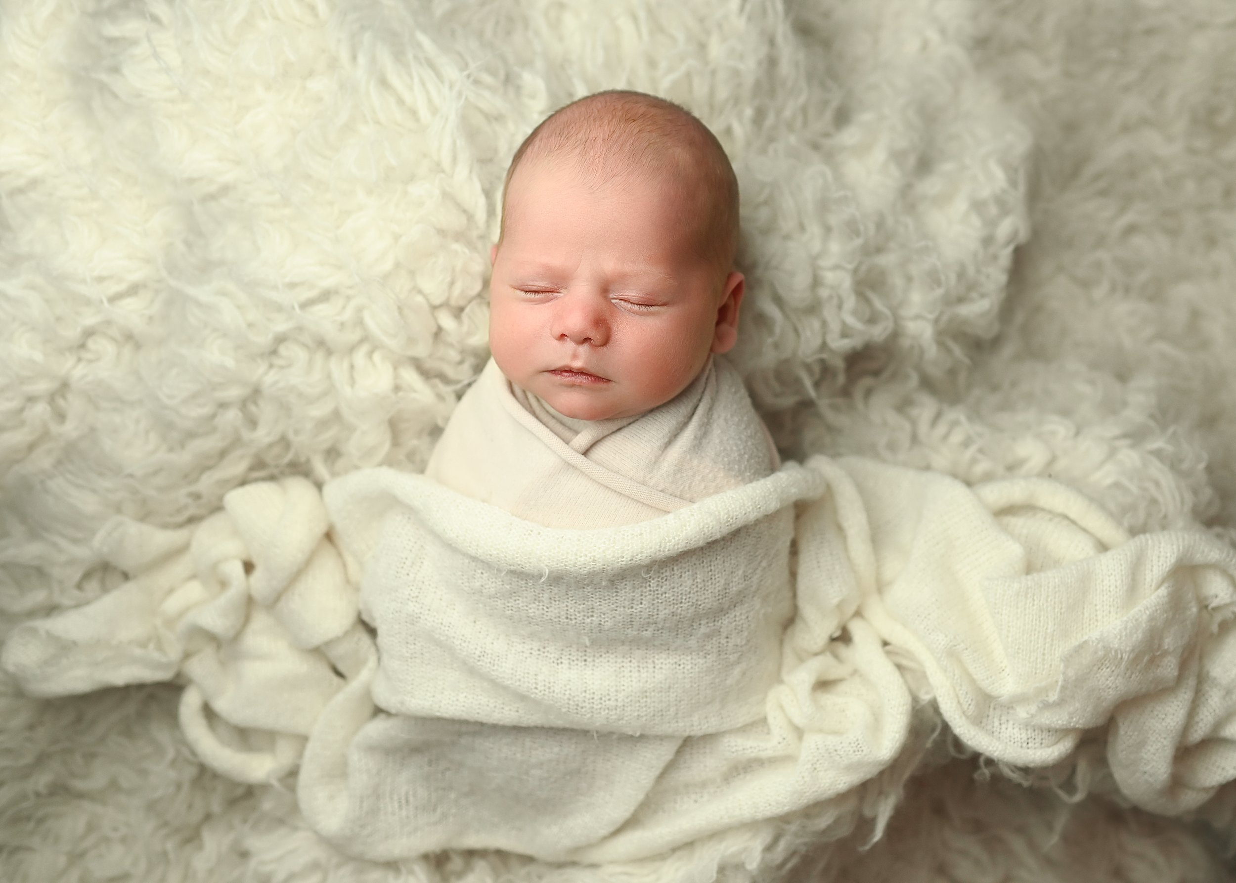 wilmington newborn photographer