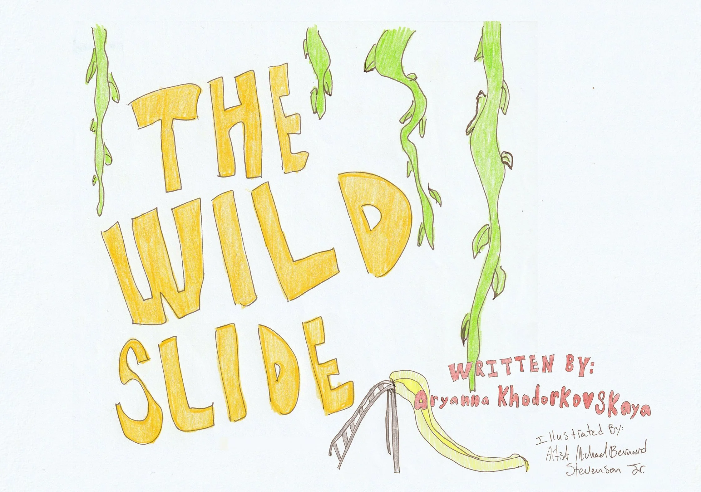 the wild slide web.jpg