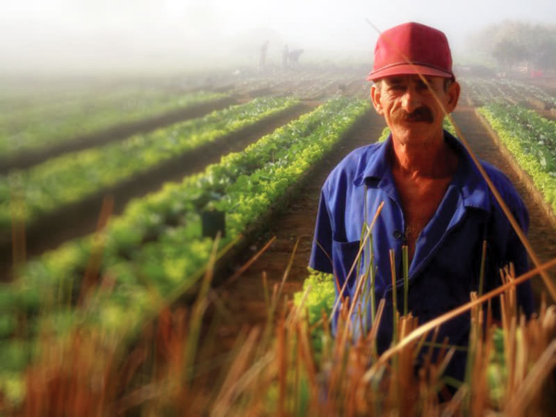 cuba2011_farmer.jpg