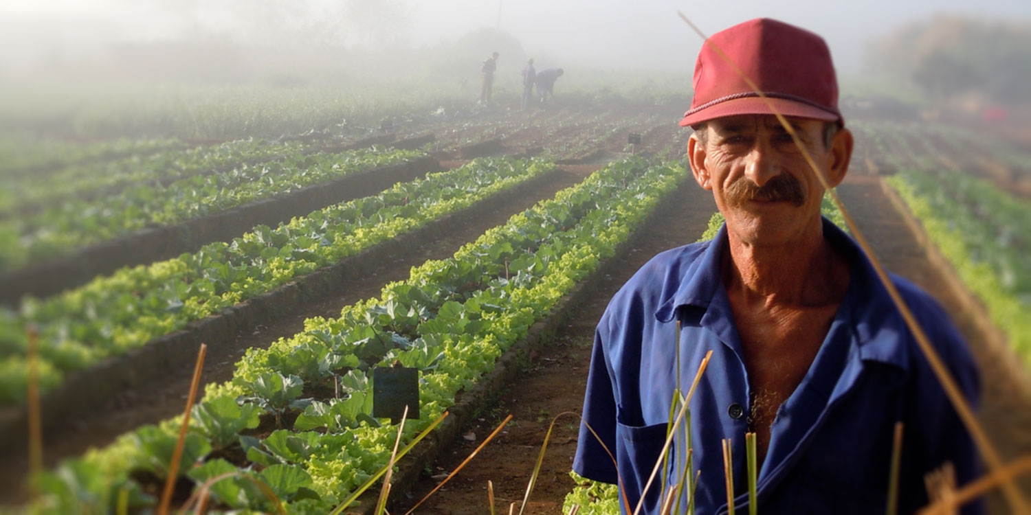  February 6-21, 2024   Cuba 2024: Food, Farms &amp; Forests    Explore Cuba’s Organic Revolution!  