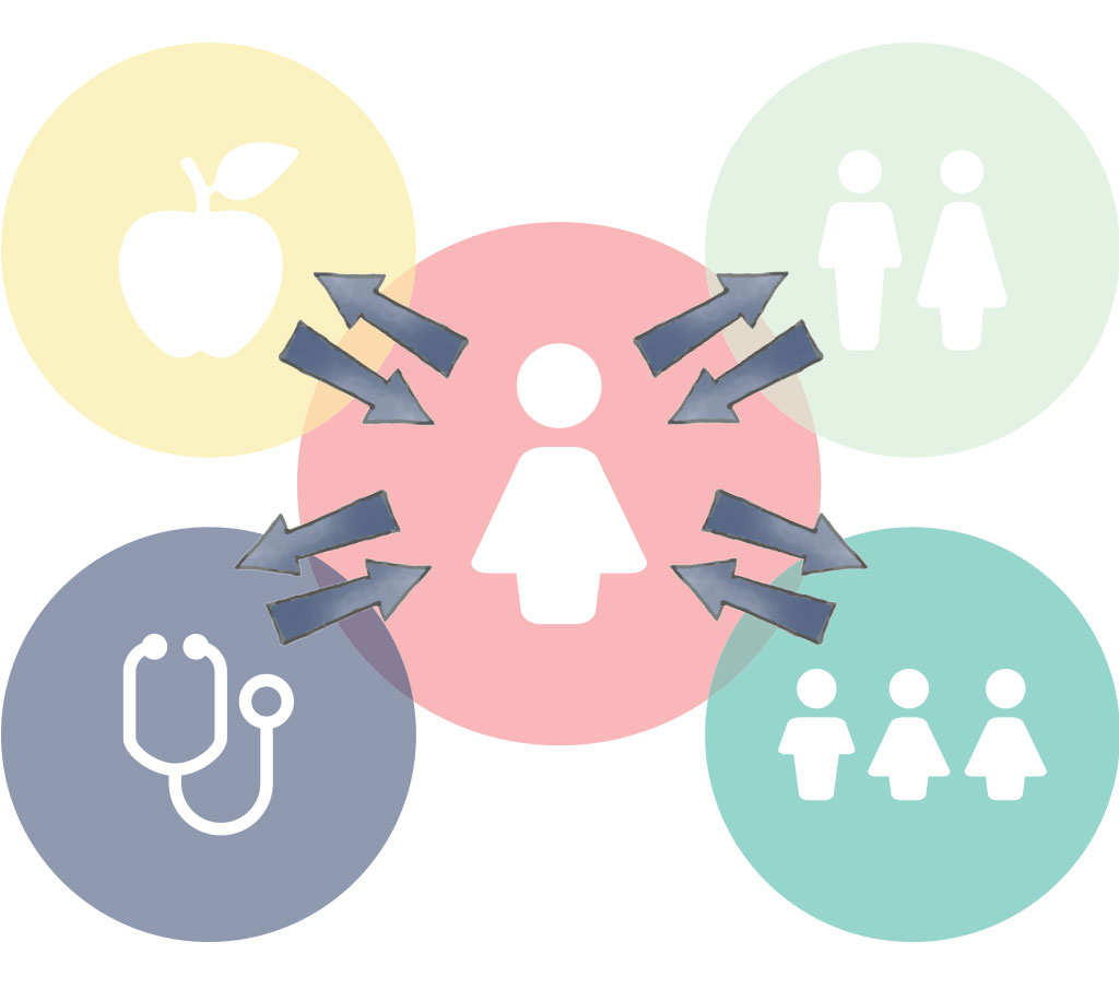 In addition to the girl, she is surrounded by a support network of family, friends, educators and clinicians. All of these parties need to be engaged for effective health information.