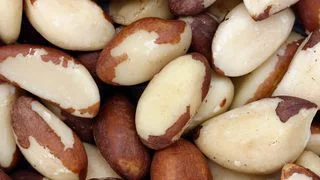 54aae137b2b22_-_elle-brazil-nut-syn2.jpg