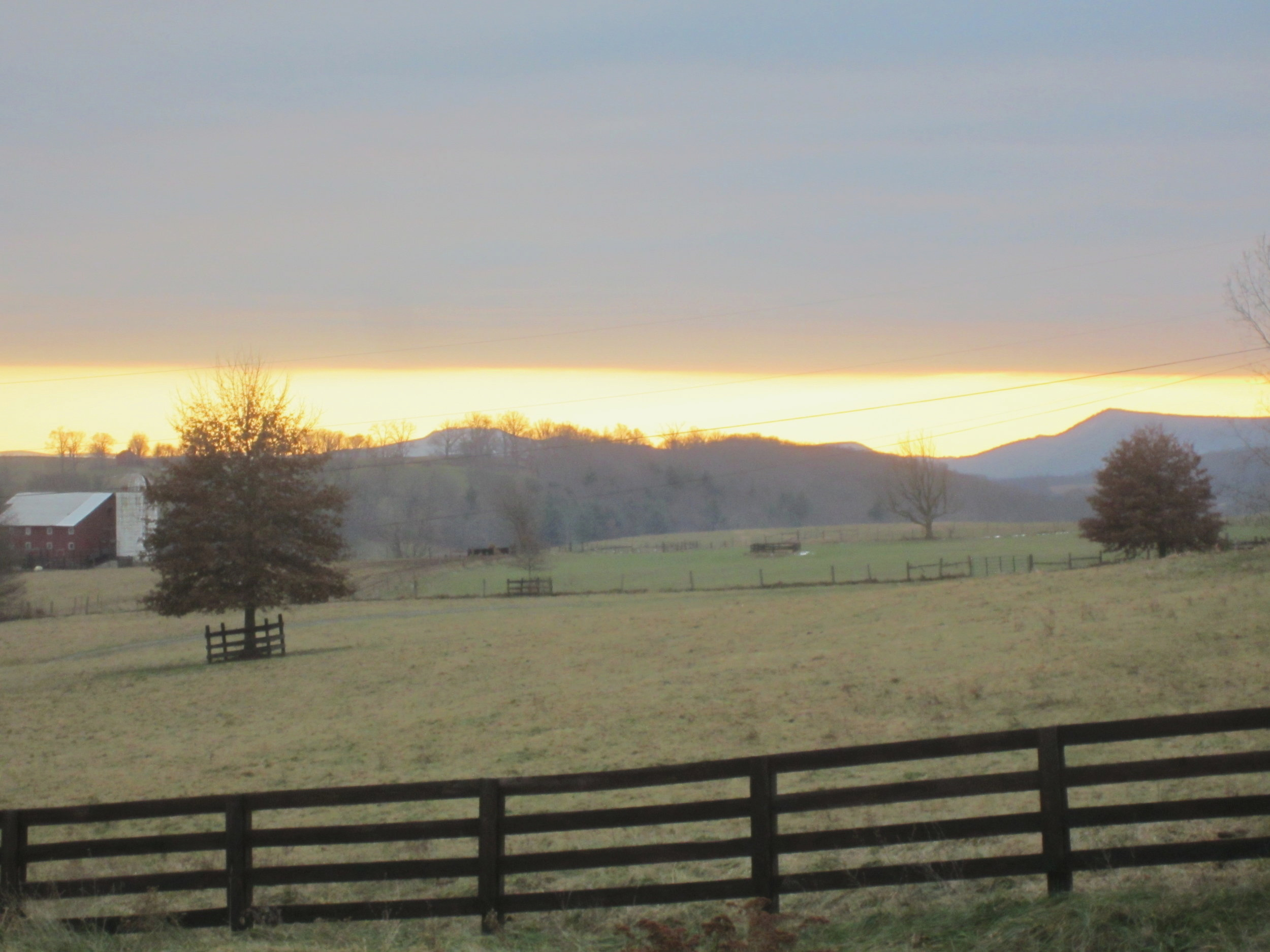 November 2014, View from Homeplace