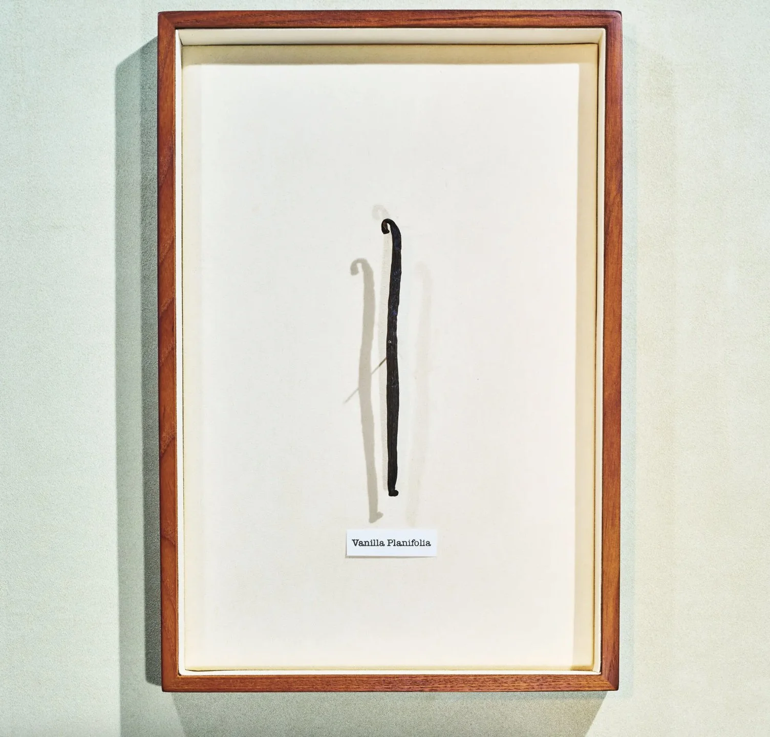 Screenshot 2024-09-22 at 3.43.38 PM.JPG