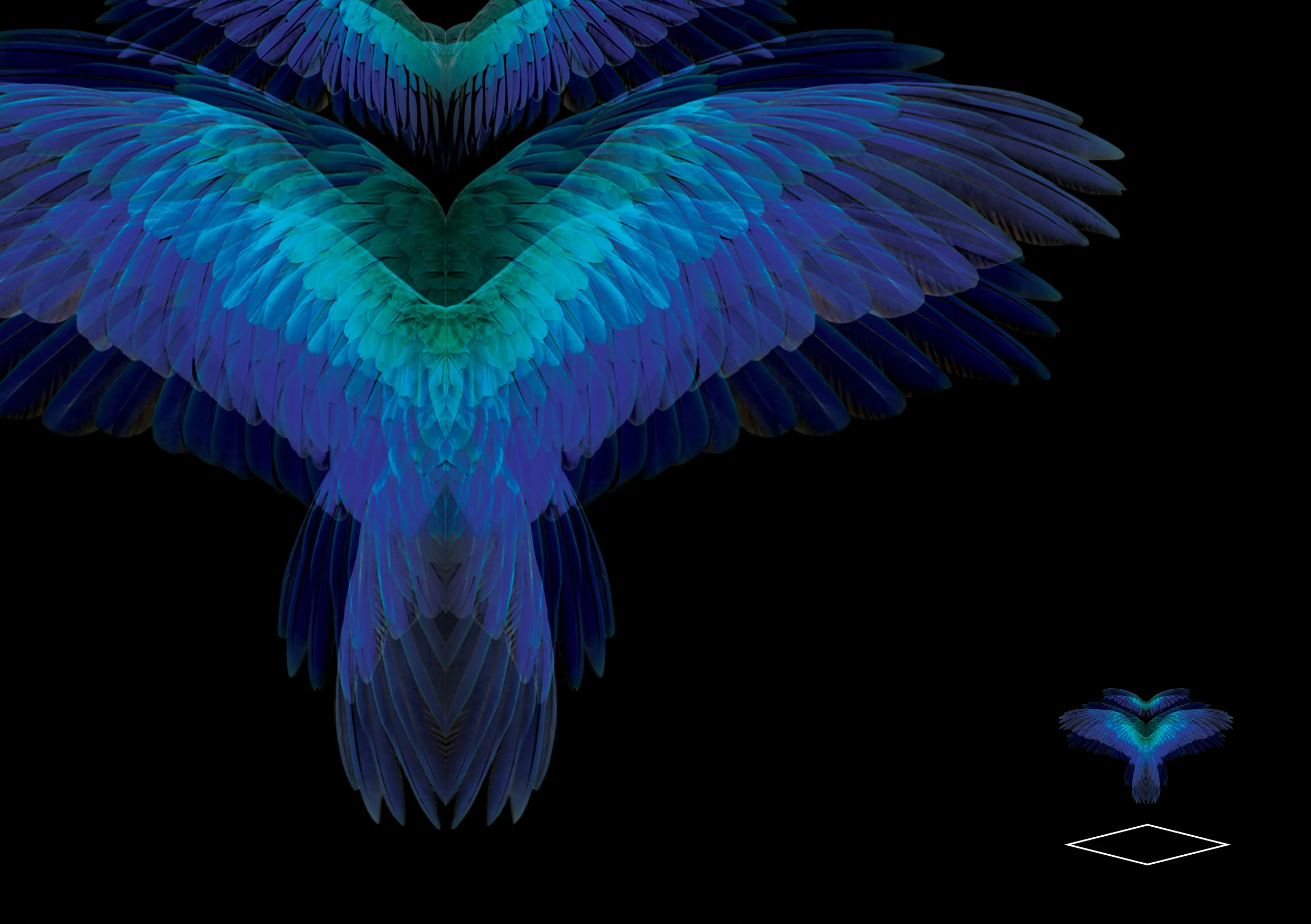 NZDC Graphic Arts_4.jpg