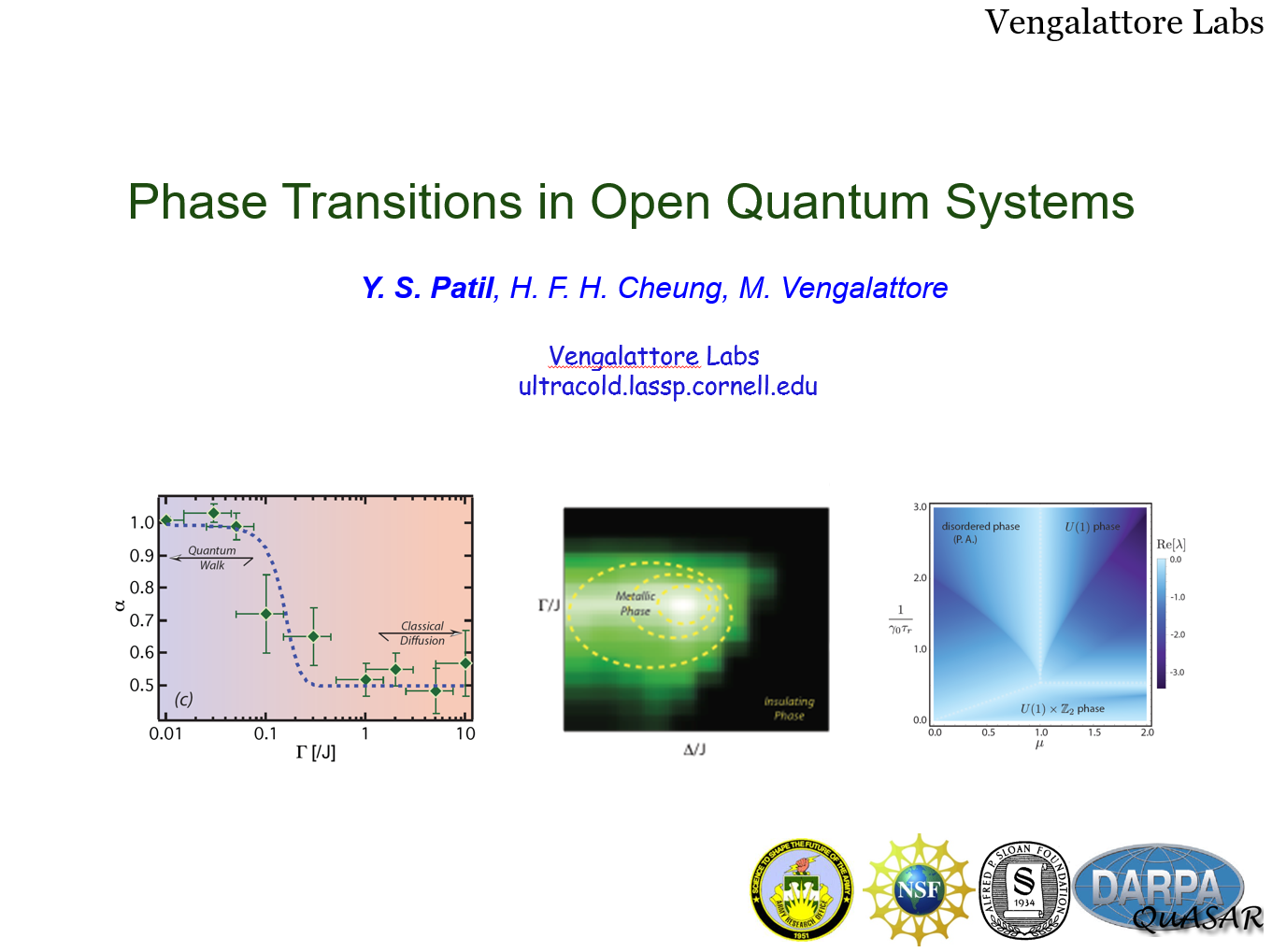 Phase Transitions in Open Quantum Systems