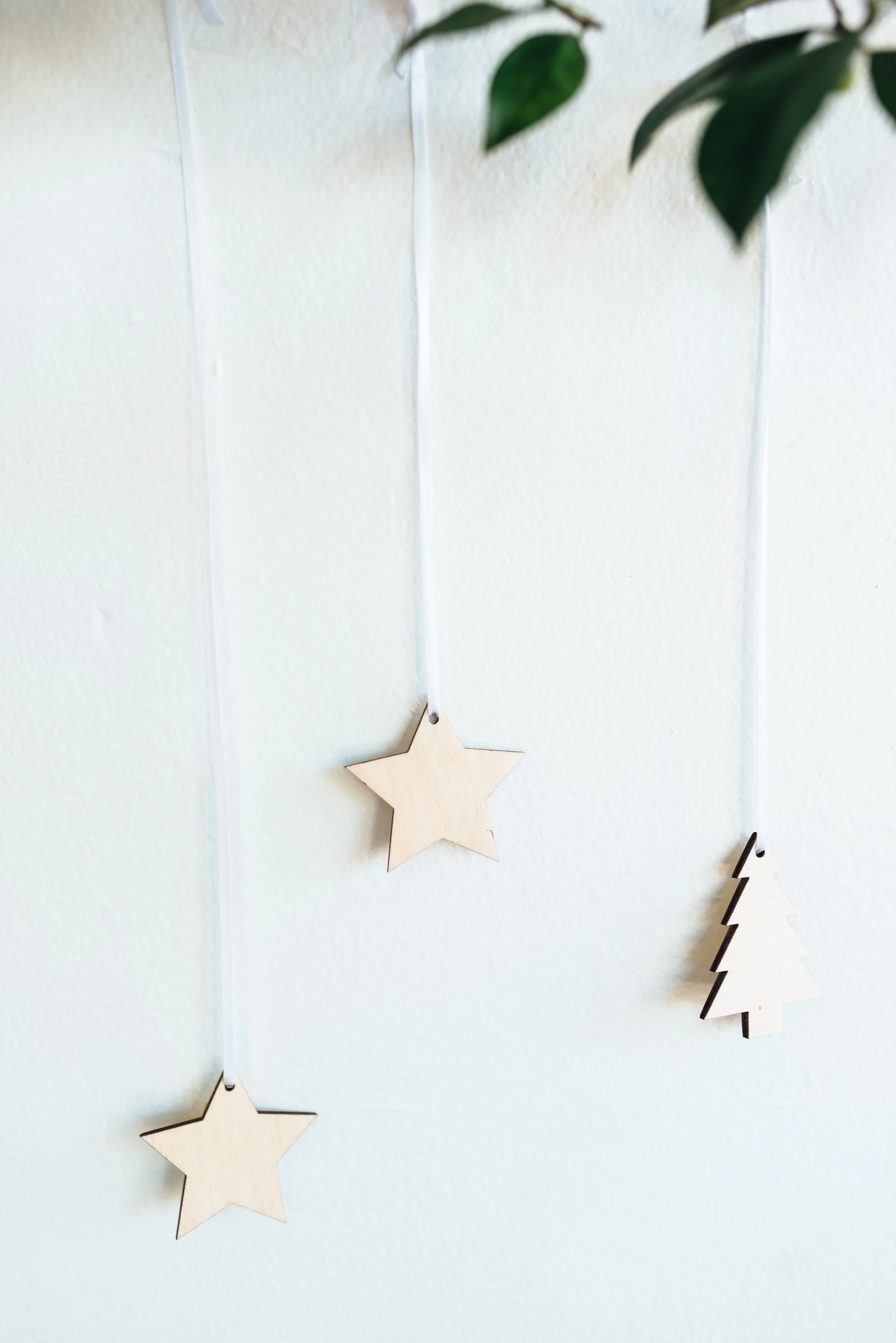 10-16EverLaser-AlisonDunnPhotography-47.jpg