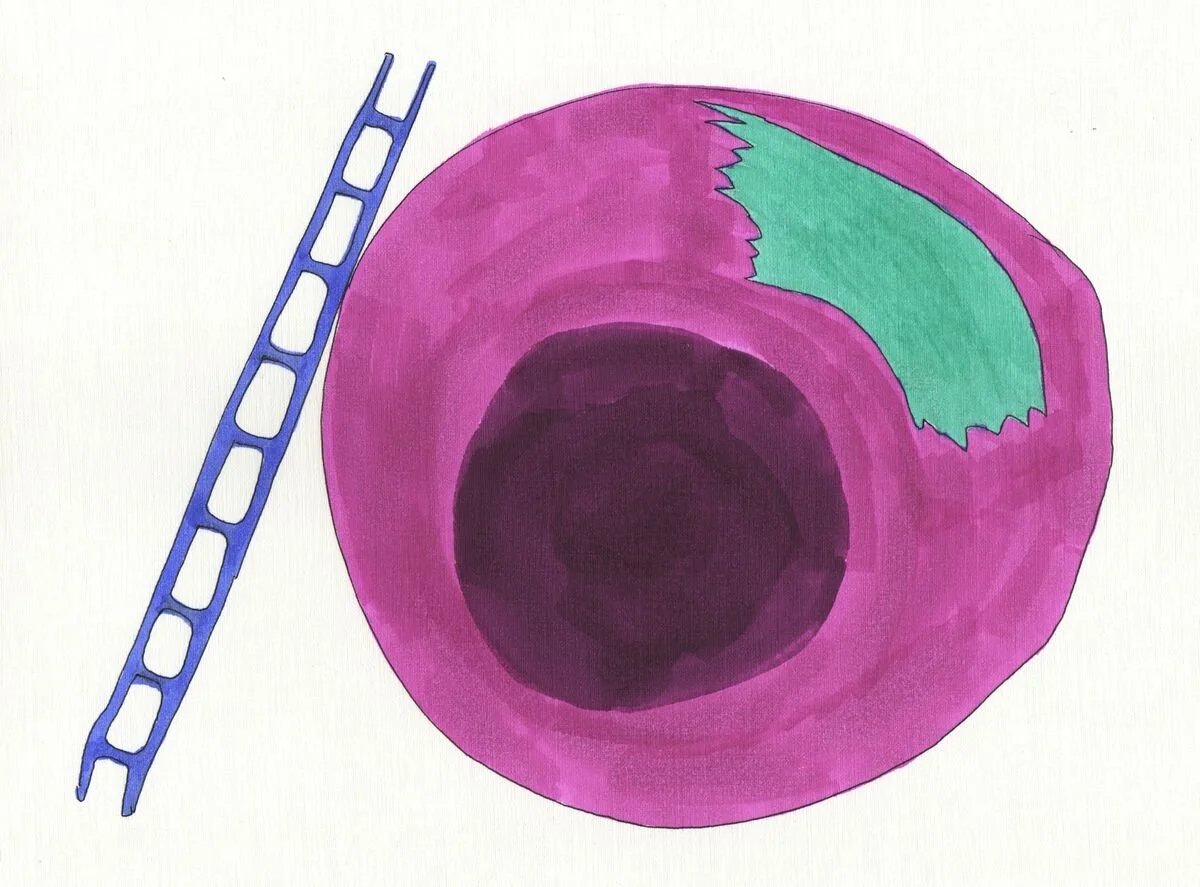 Image 53.jpg