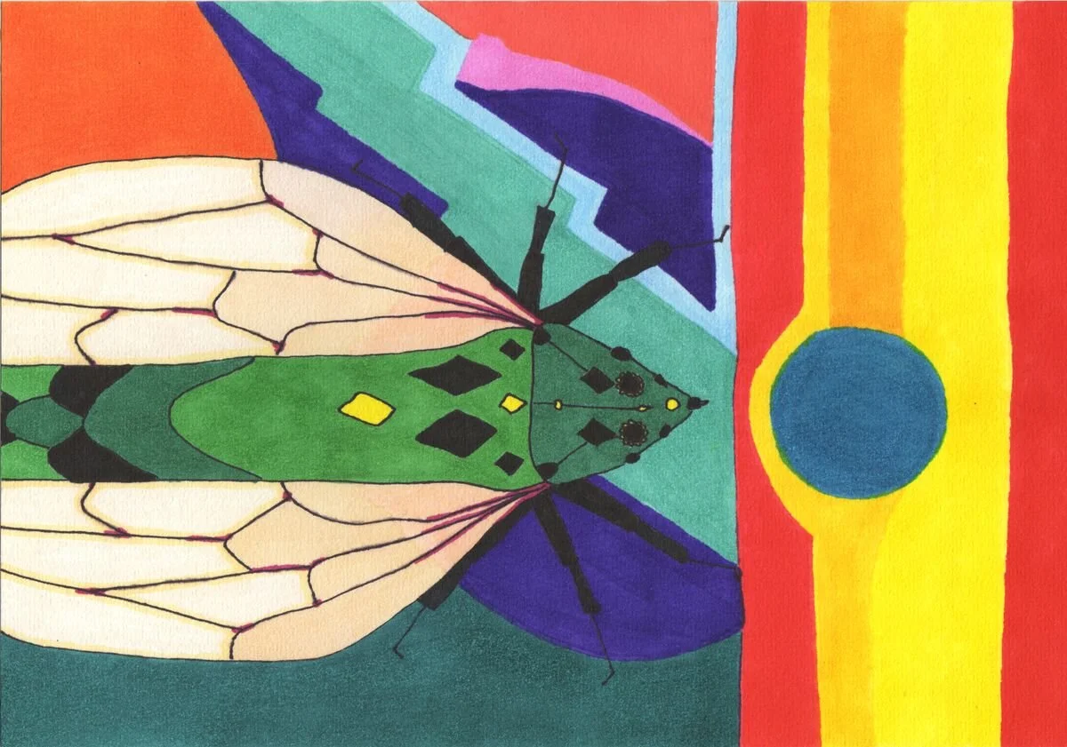 Image 73.jpg
