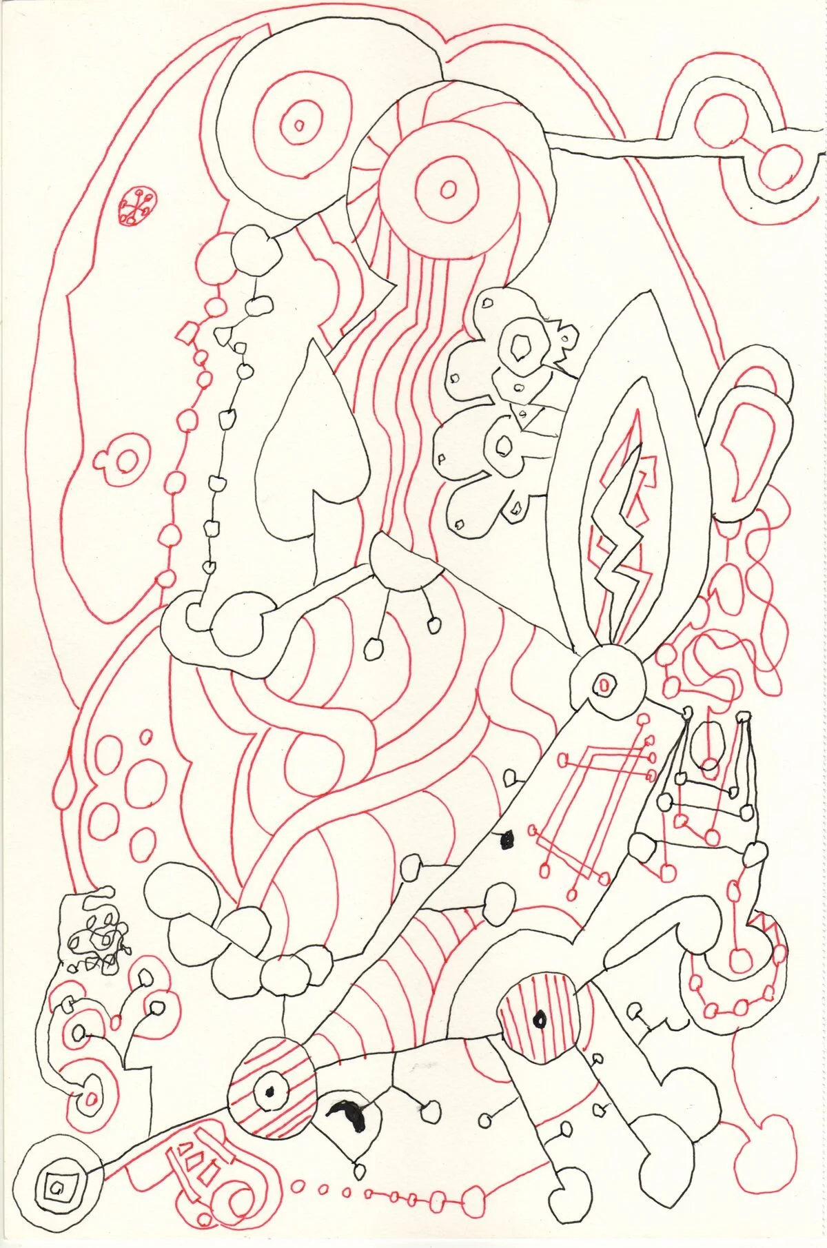 Image 169.jpg