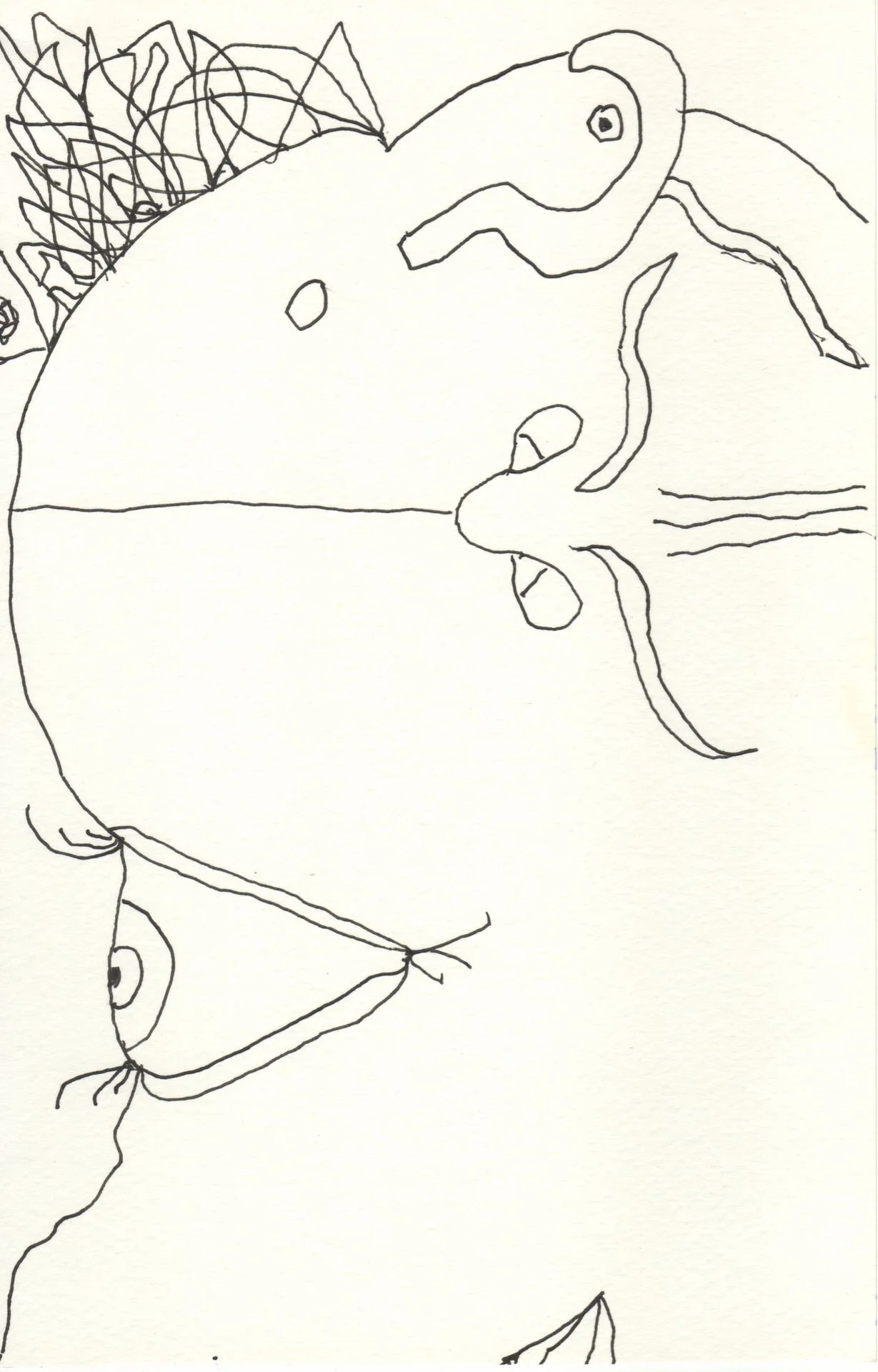 Image 214.jpg