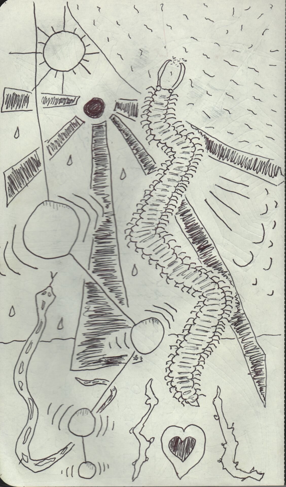 Image 241.jpg