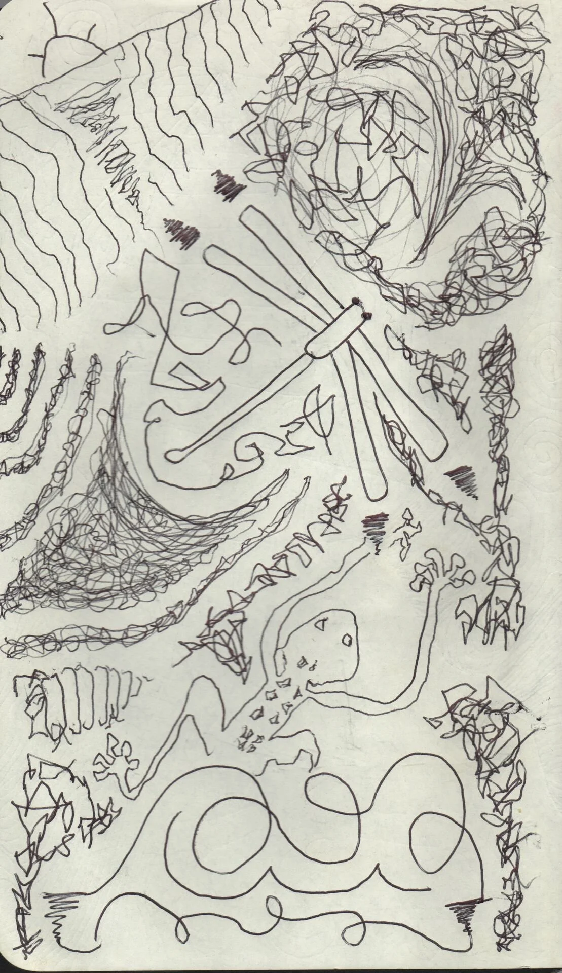 Image 249.jpg