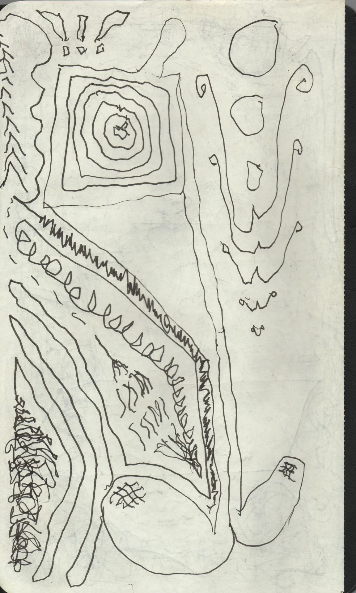 Image 251.jpg
