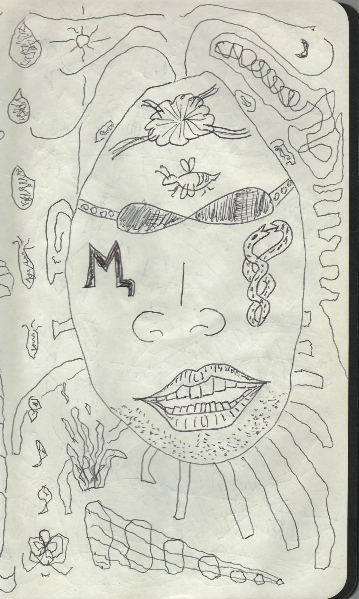 Image 260.jpg