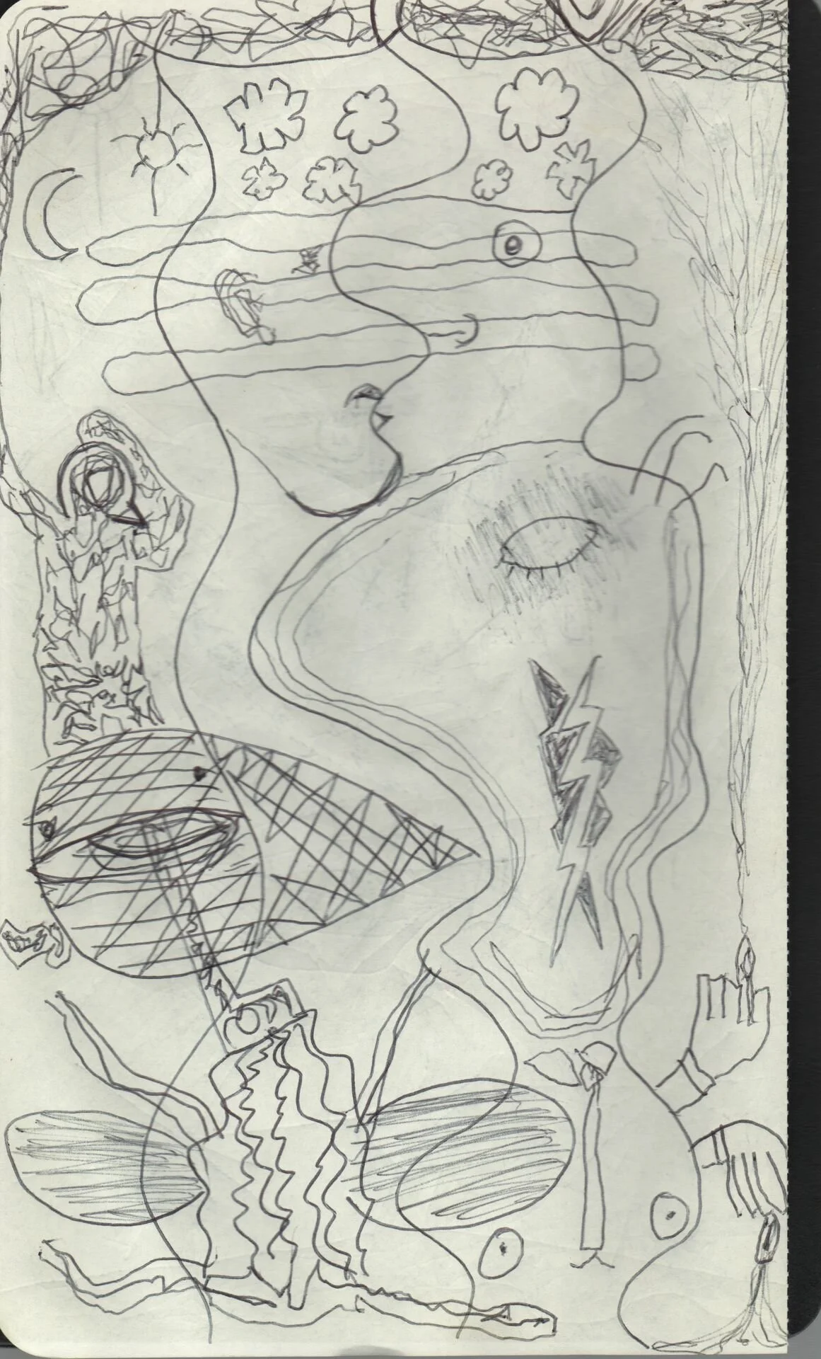 Image 261.jpg