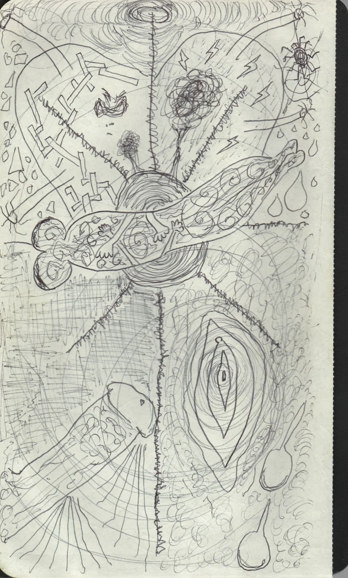 Image 265.jpg