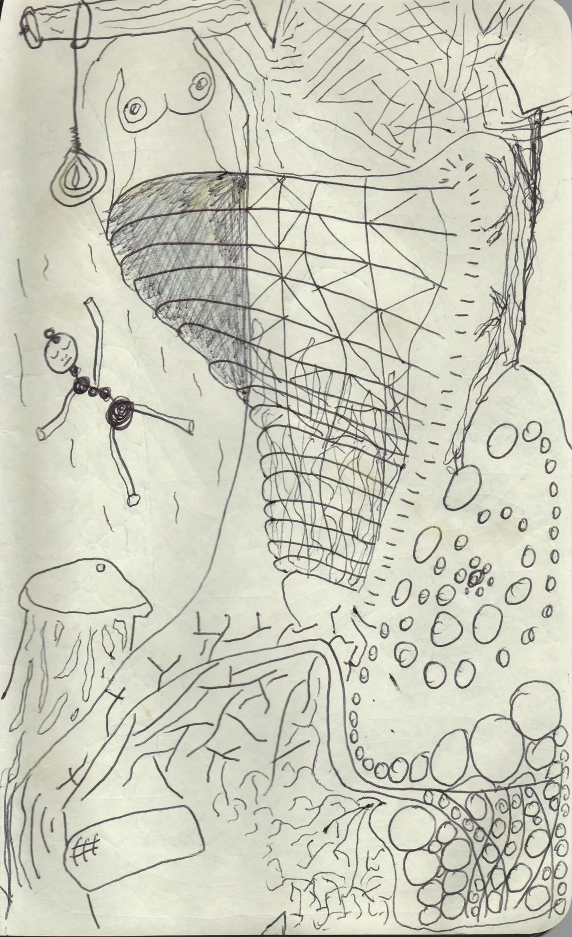 Image 268.jpg
