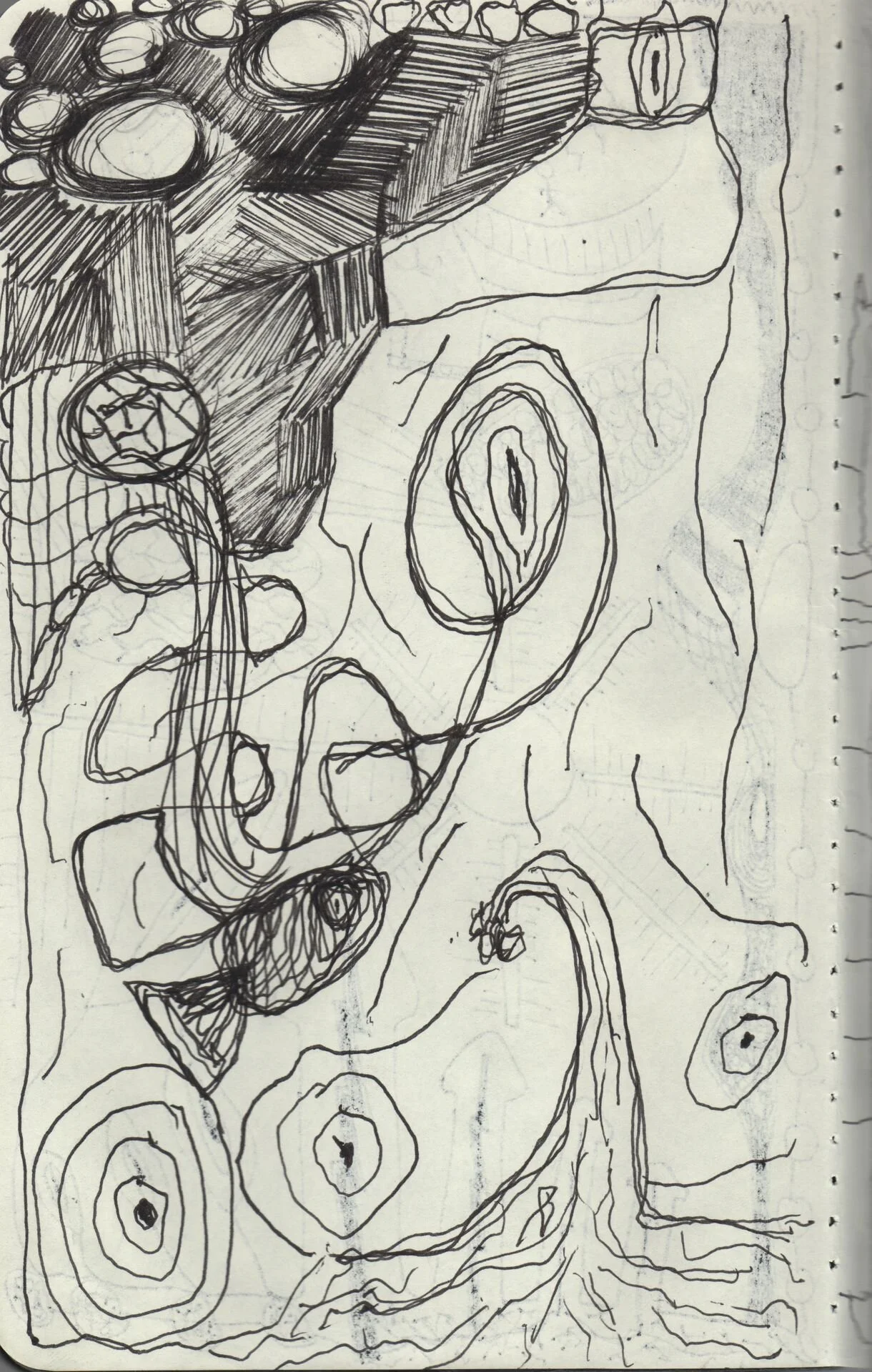 Image 287.jpg