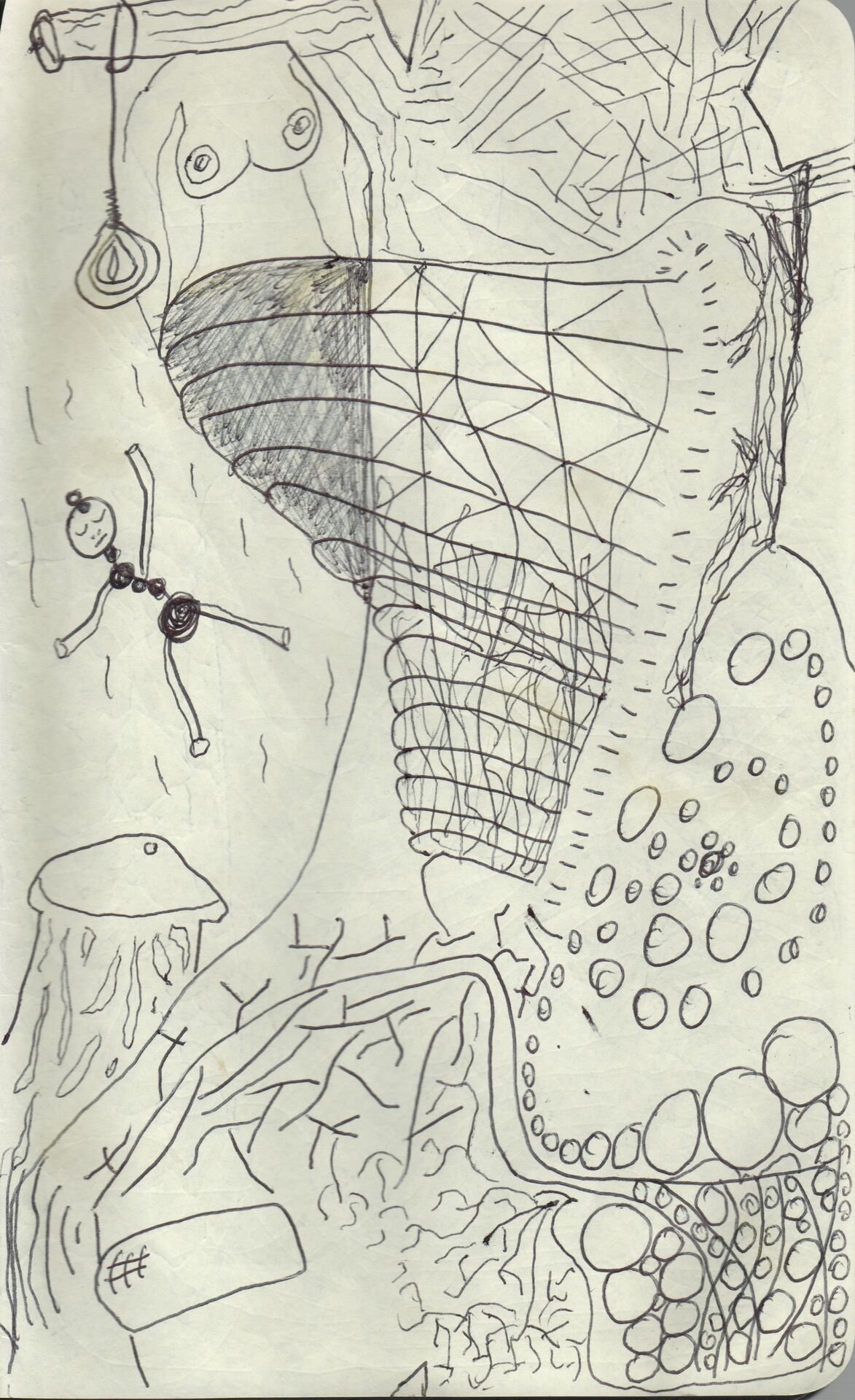Image 268.jpg