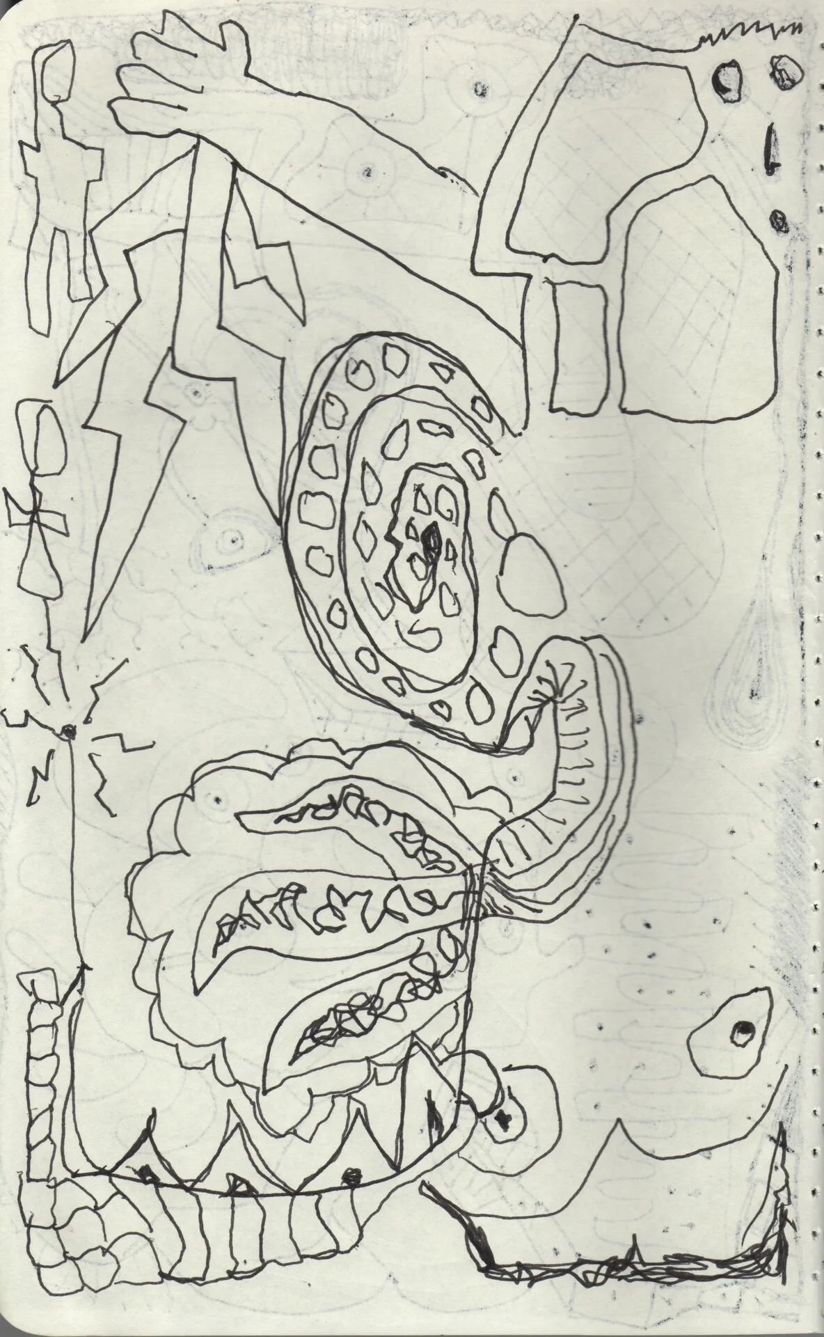 Image 297.jpg