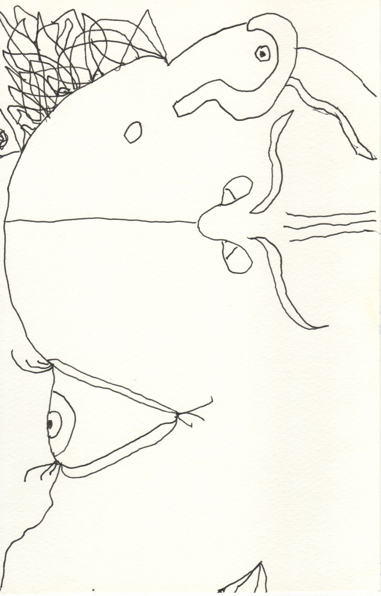 Image 214.jpg