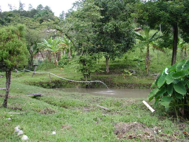 Honduras mission 1005 147.jpg
