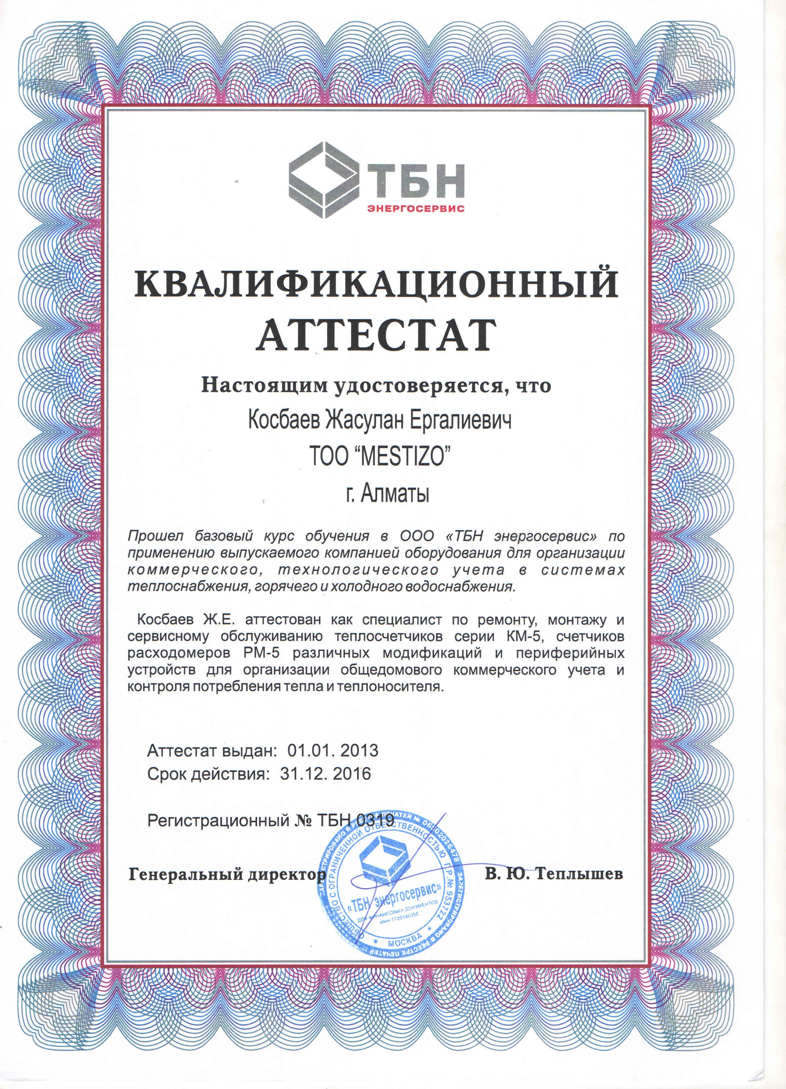 Квалификационный аттестат ТБН Энергосервис