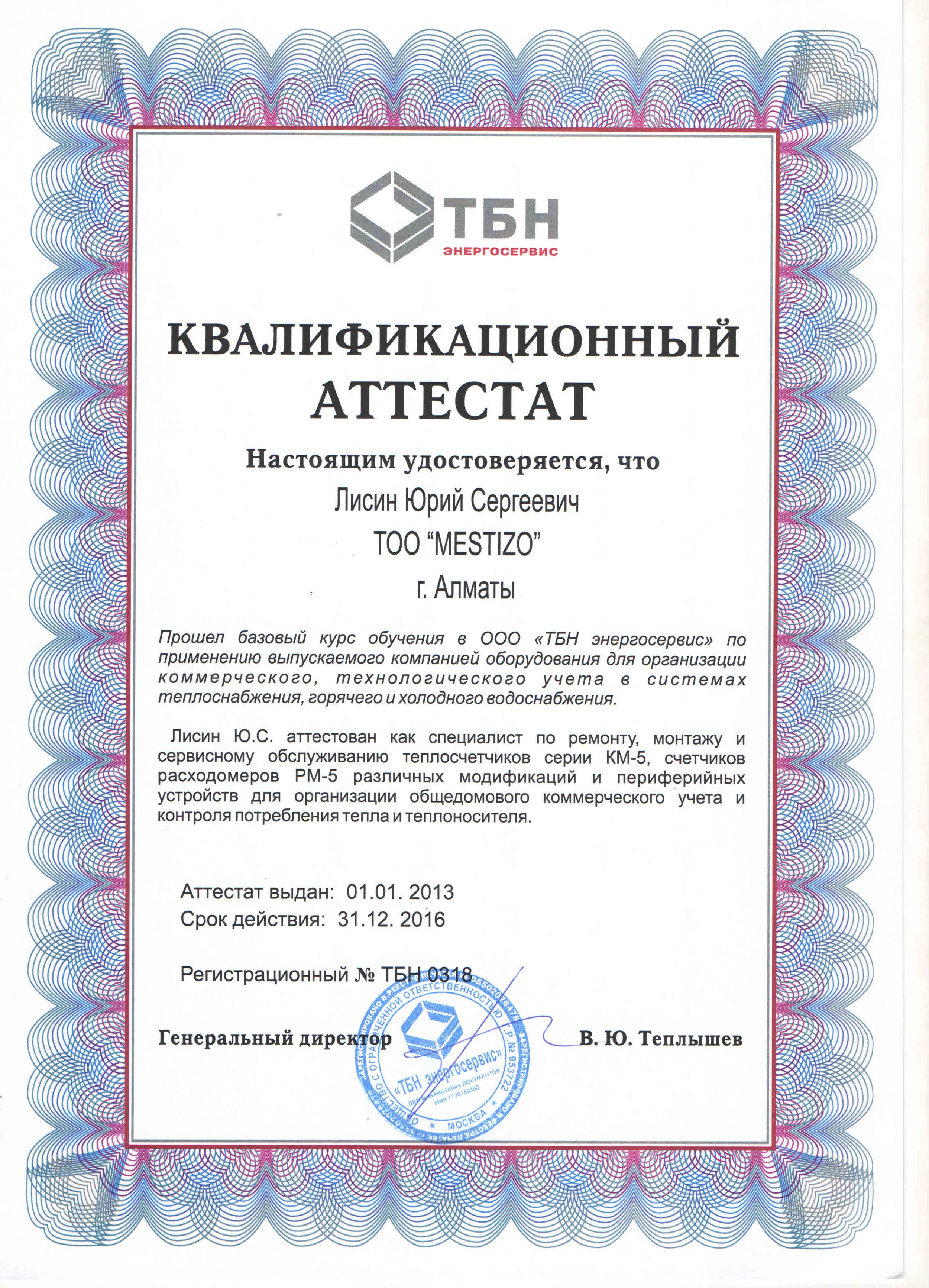 Квалификационный аттестат ТБН Энергосервис