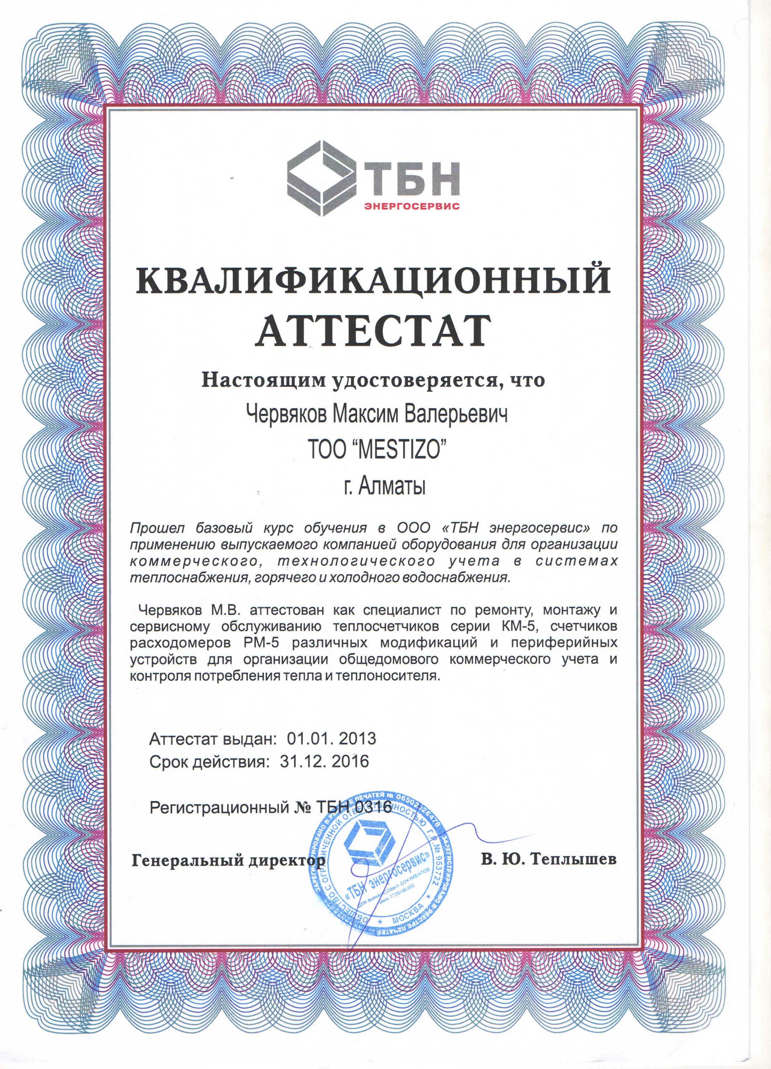 Квалификационный аттестат ТБН Энергосервис
