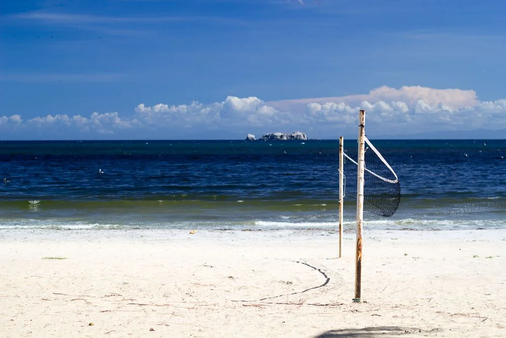 New Zealand CAN launched