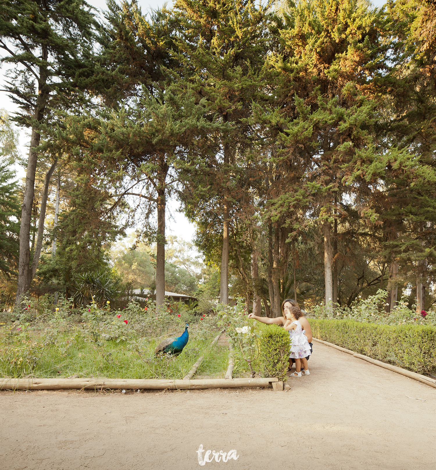 sessao-fotografica-familia-parque-marechal-carmona-terra-fotografia-0027.jpg