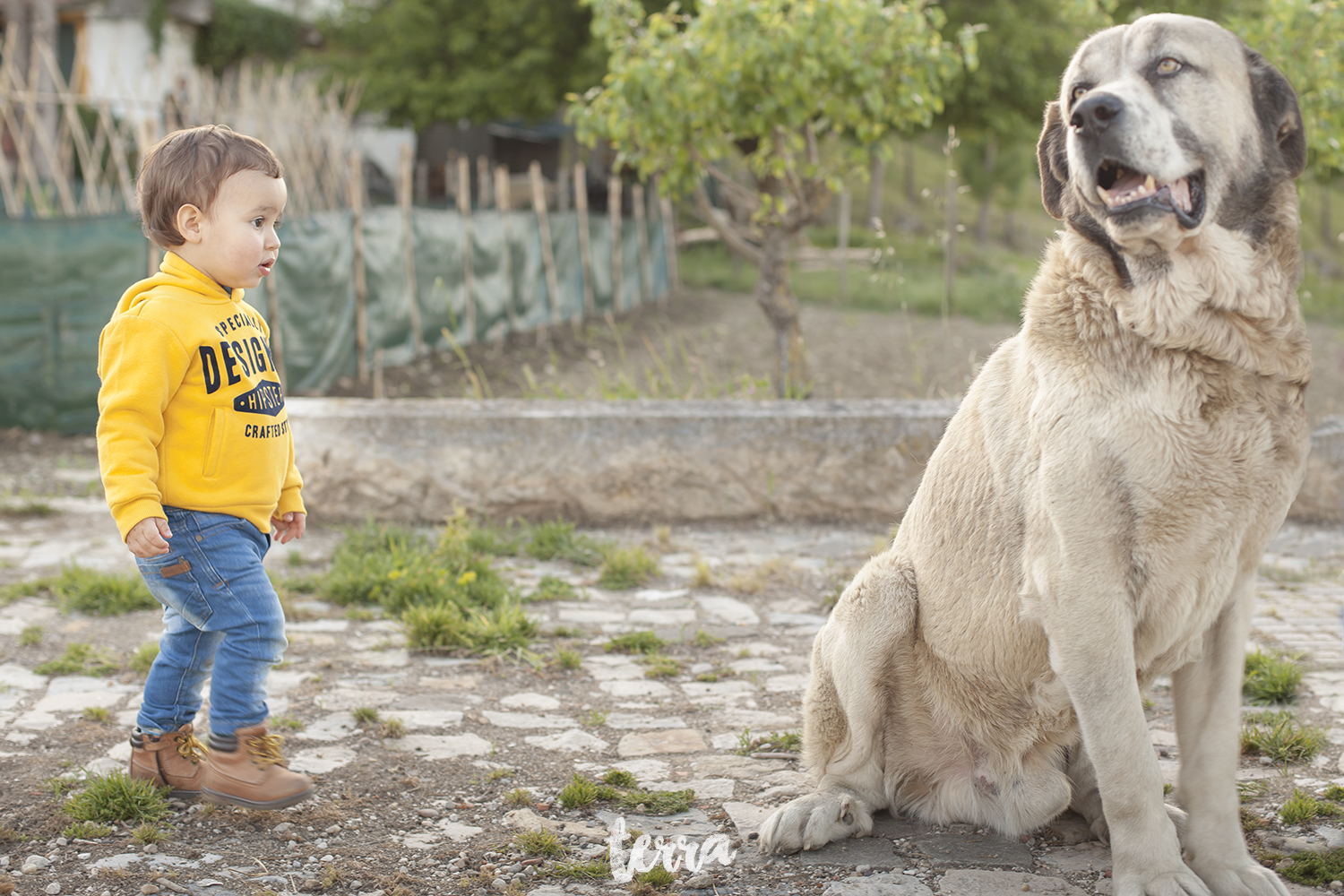 sessao-fotografica-familia-lifestyle-terra-fotografia-26.jpg