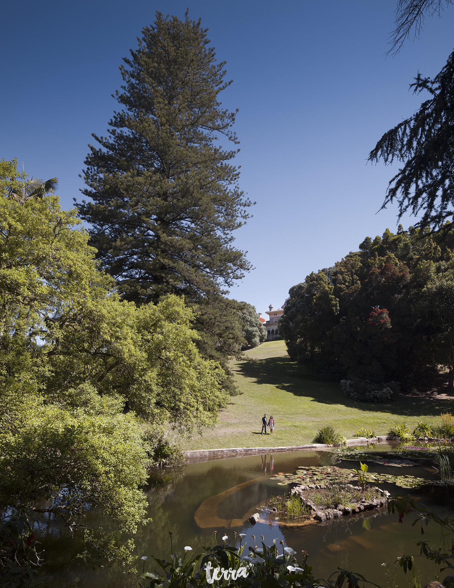 sessao-fotografica-parque-palacio-monserrate-sintra-terra-fotografia-0033.jpg