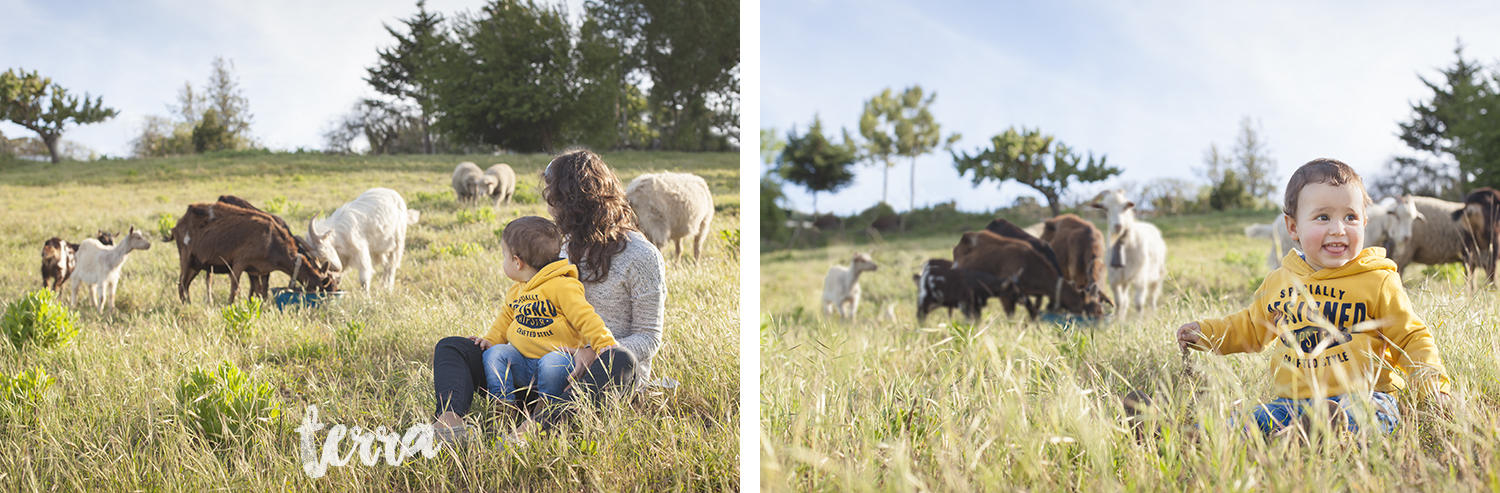 sessao-fotografica-familia-lifestyle-terra-fotografia-03.jpg