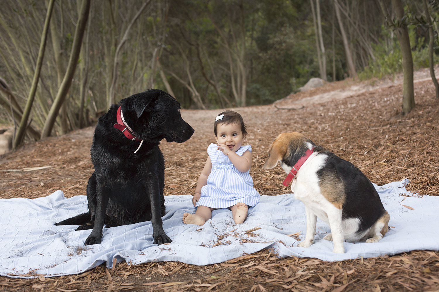 sessao-fotografica-familia-lagoa-azul-sintra-terra-fotografia-46.jpg