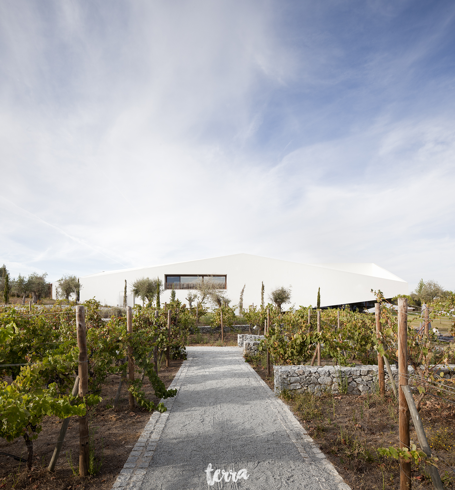 sessao-fotografica-trash-the-dress-land-vineyards-alentejo-terra-fotografia-0016.jpg