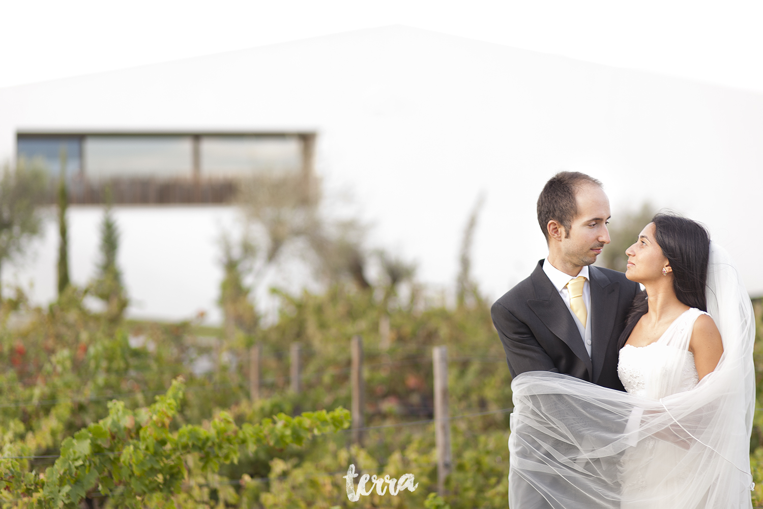 sessao-fotografica-trash-the-dress-land-vineyards-alentejo-terra-fotografia-0021.jpg