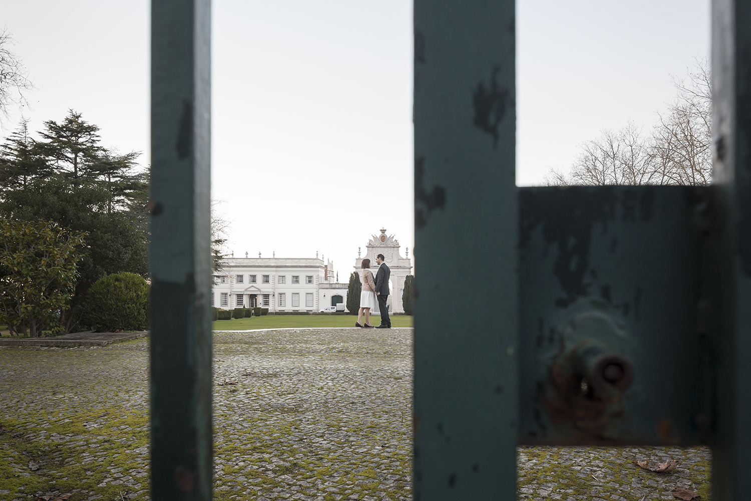 sintra-surprise-wedding-proposal-photogapher-terra-fotografia-flytographer-036.jpg