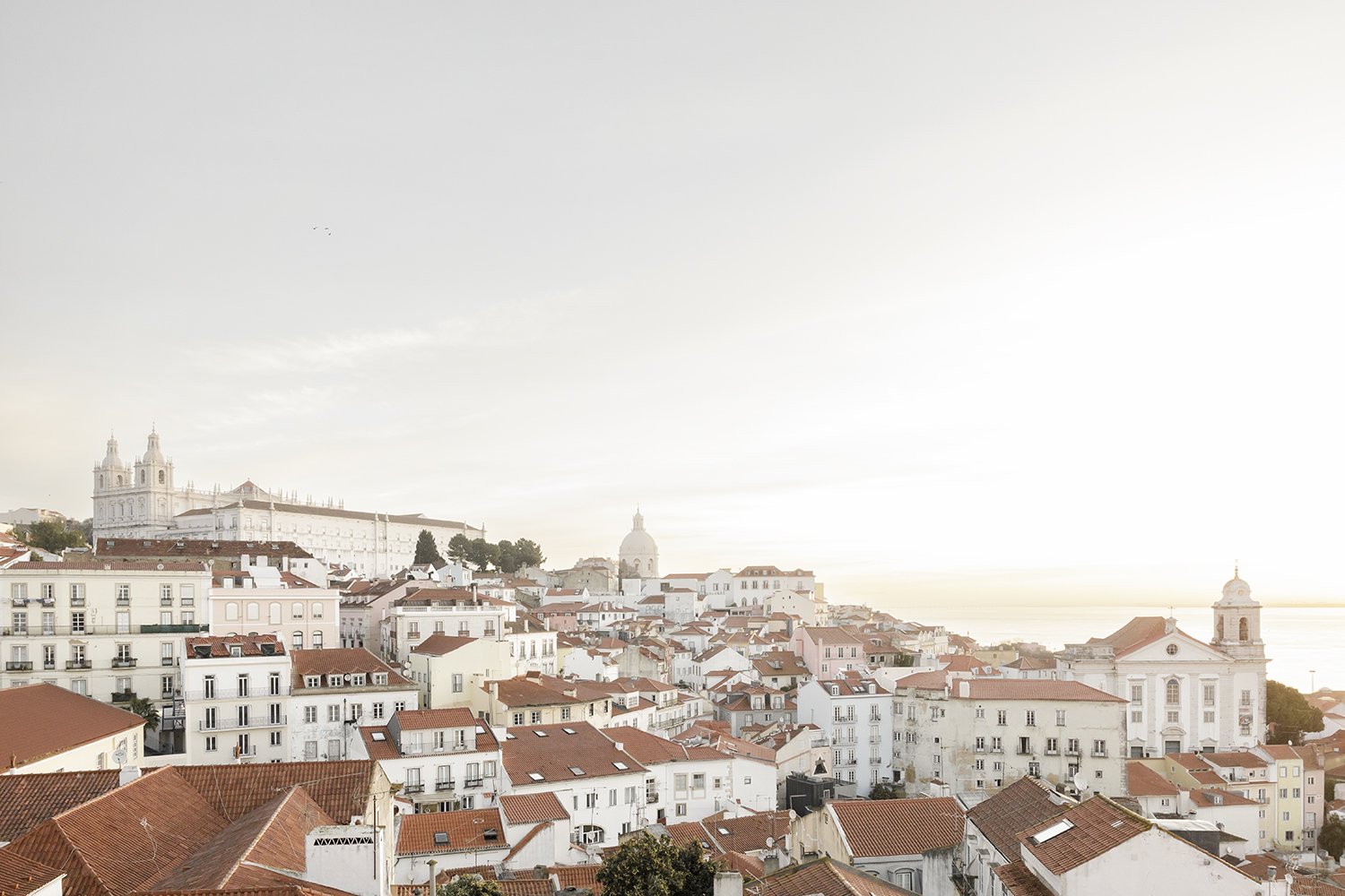 surprise-wedding-proposal-photographer-in-alfama-ana-lucia-da-cruz-terra-fotografia-flytographer-1.jpg