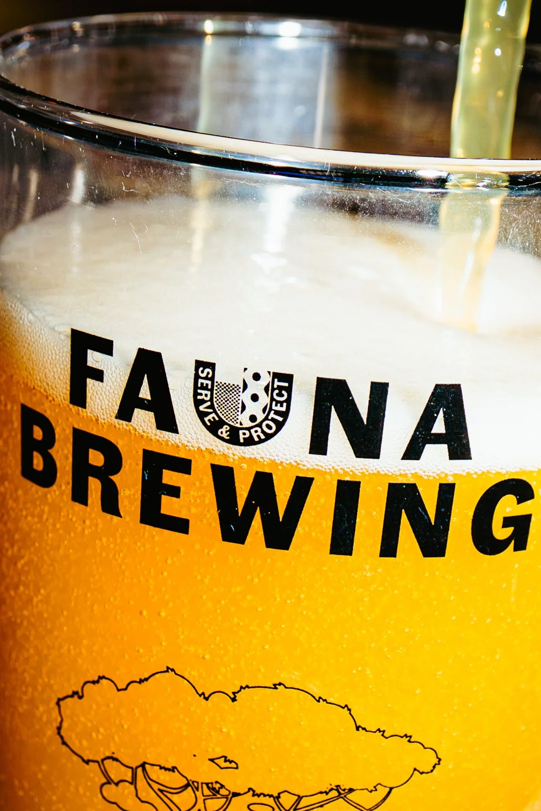 FaunaTaproom-25.jpg